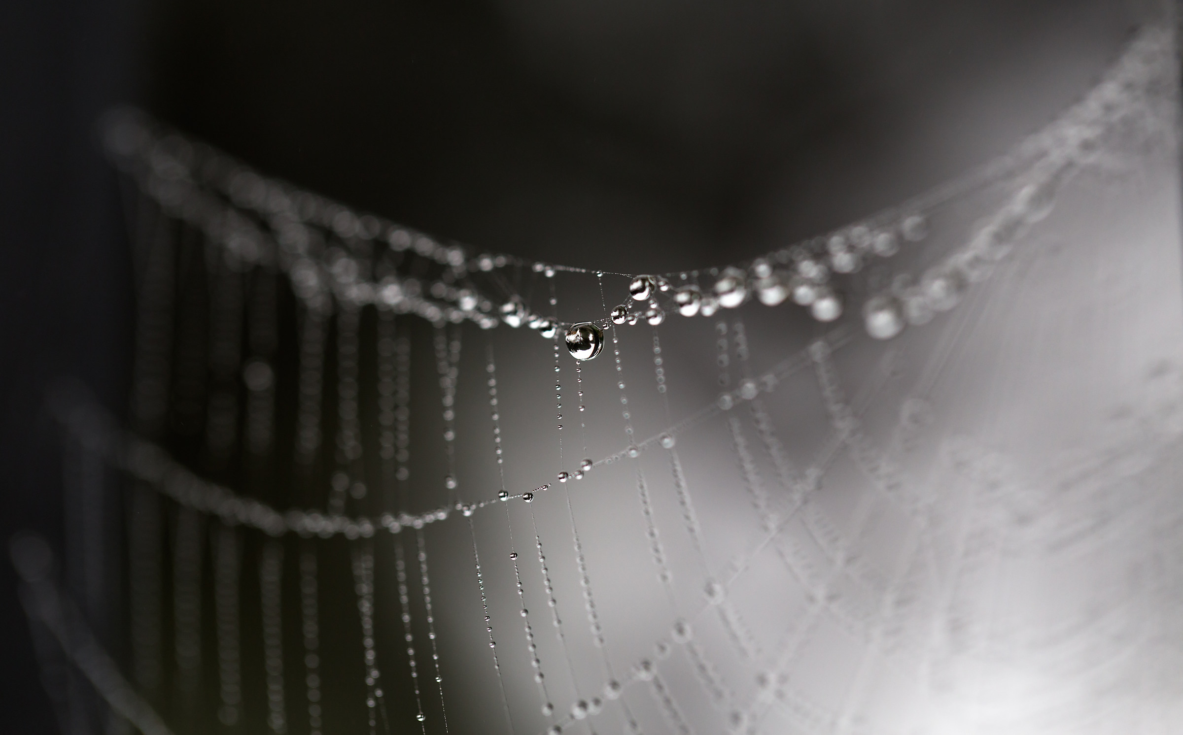 Una su un milione...