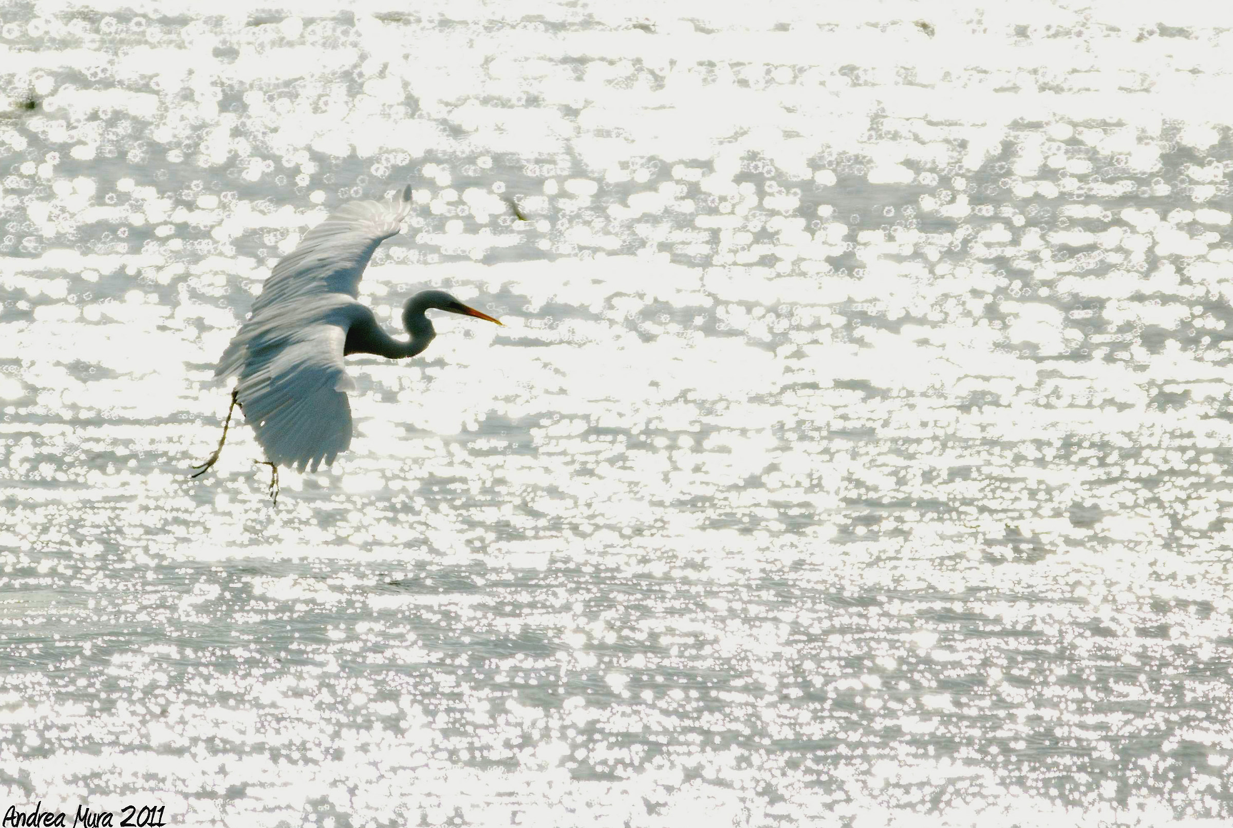 Planata sui riflessi di luce
