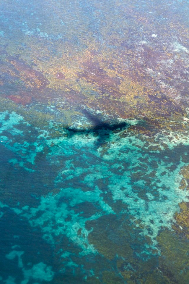 Arriving in Australia