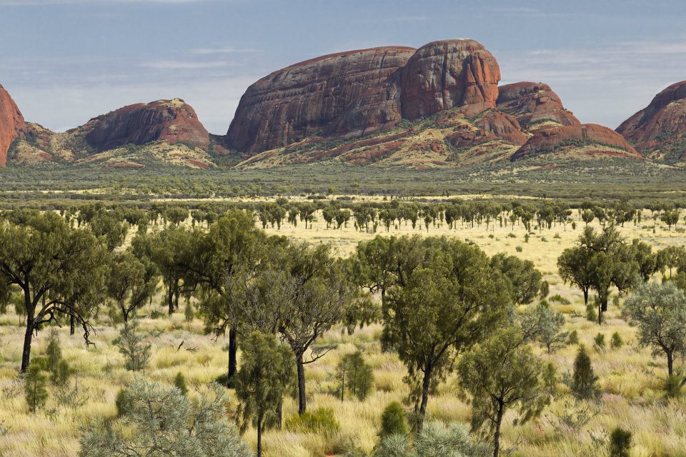 THE majestic rocks of Kata Tjuta (The Olgas)