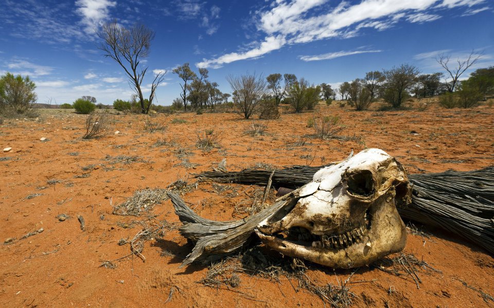 Deserto South Australia
