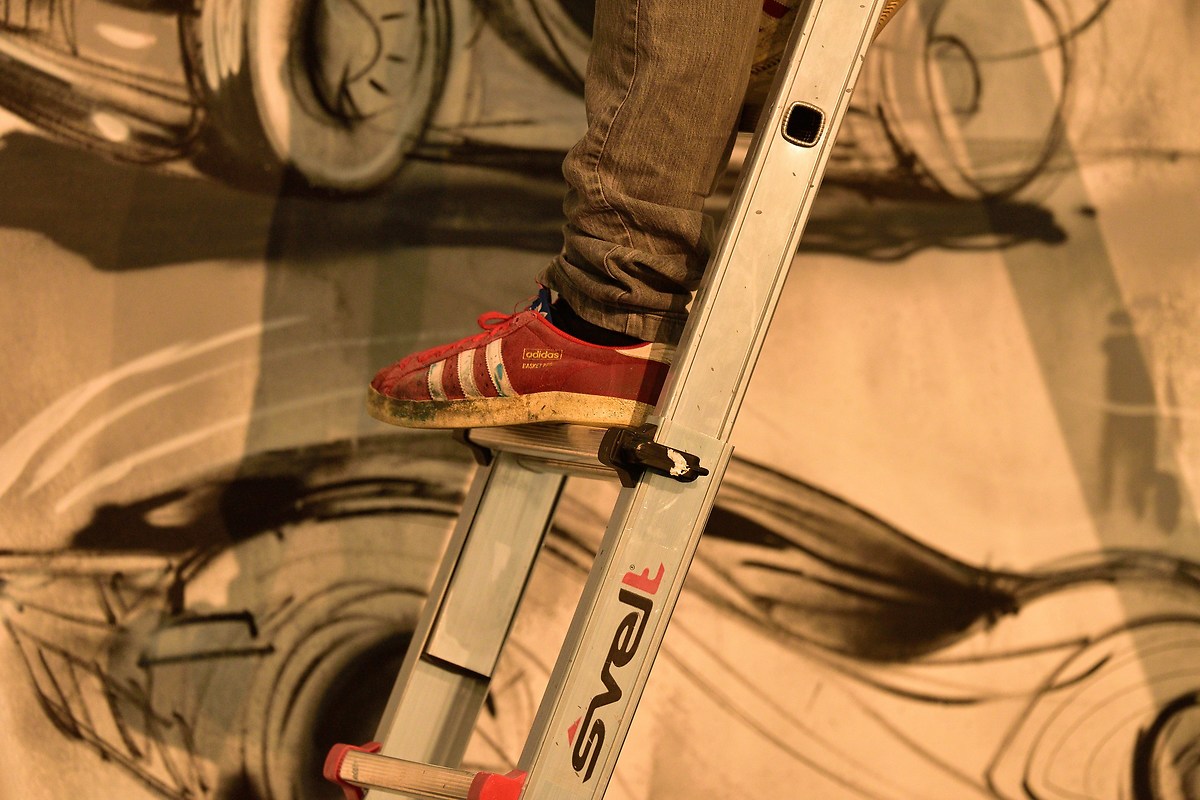 2  fotoshow  test nikon 810d + VR 500mm