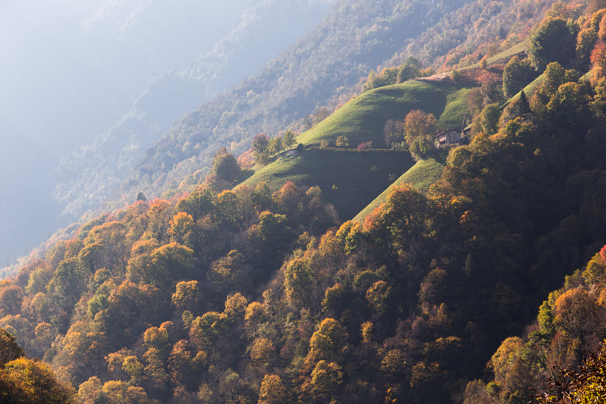 Glimpses of autumn in Val Rice ...