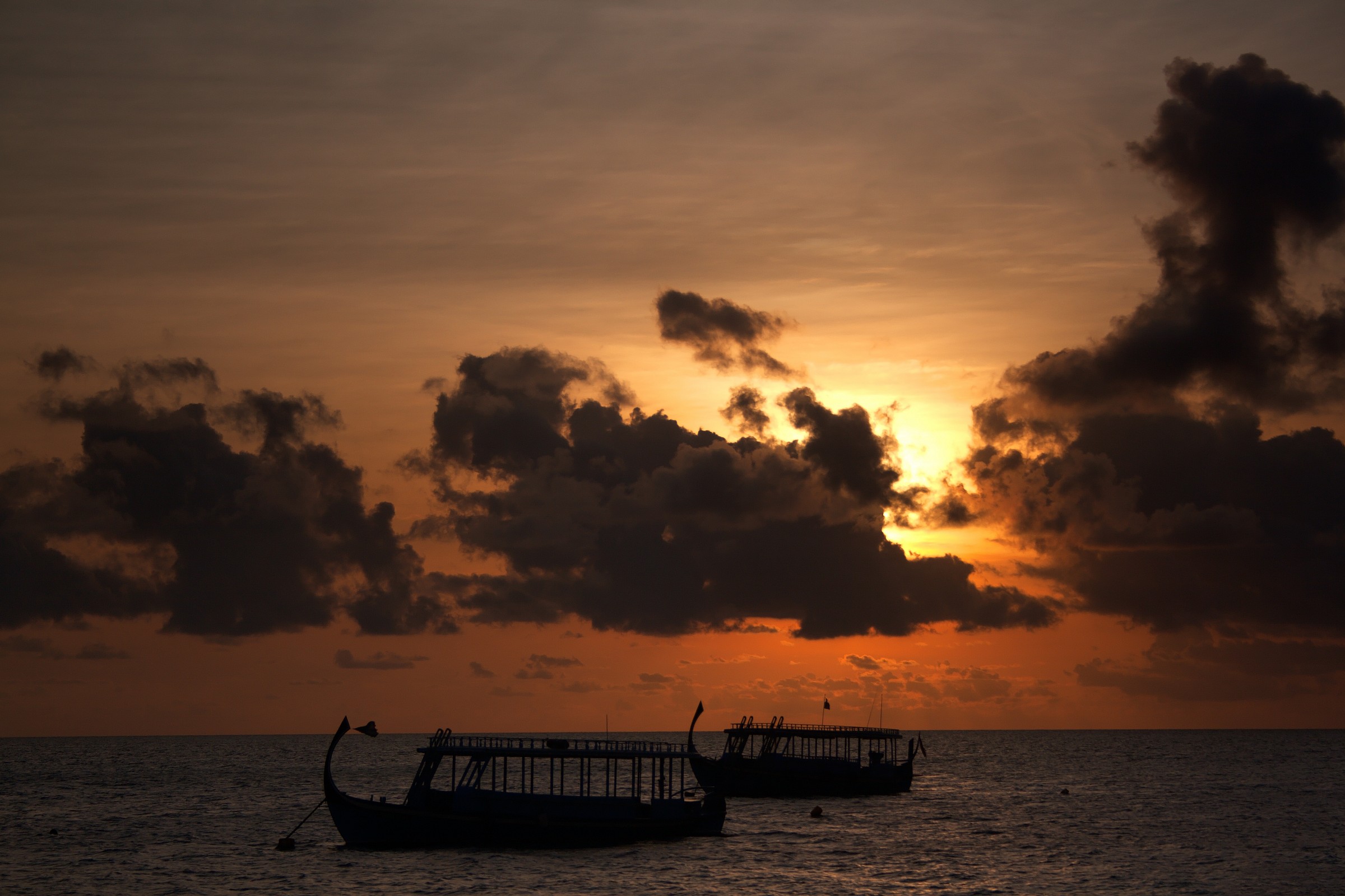 The Beginning of the arrival