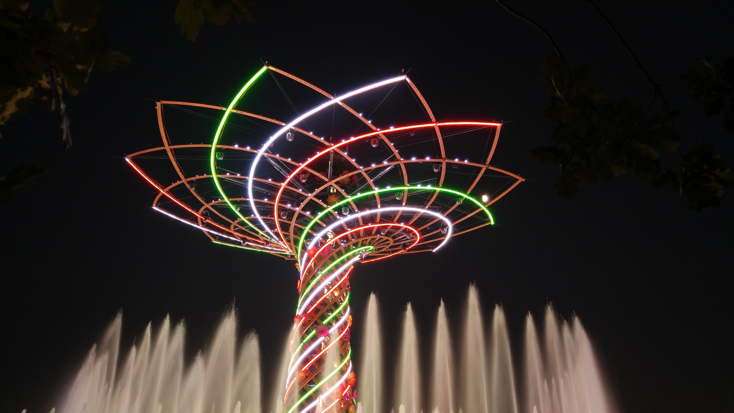 the Aber, the branches, the moon