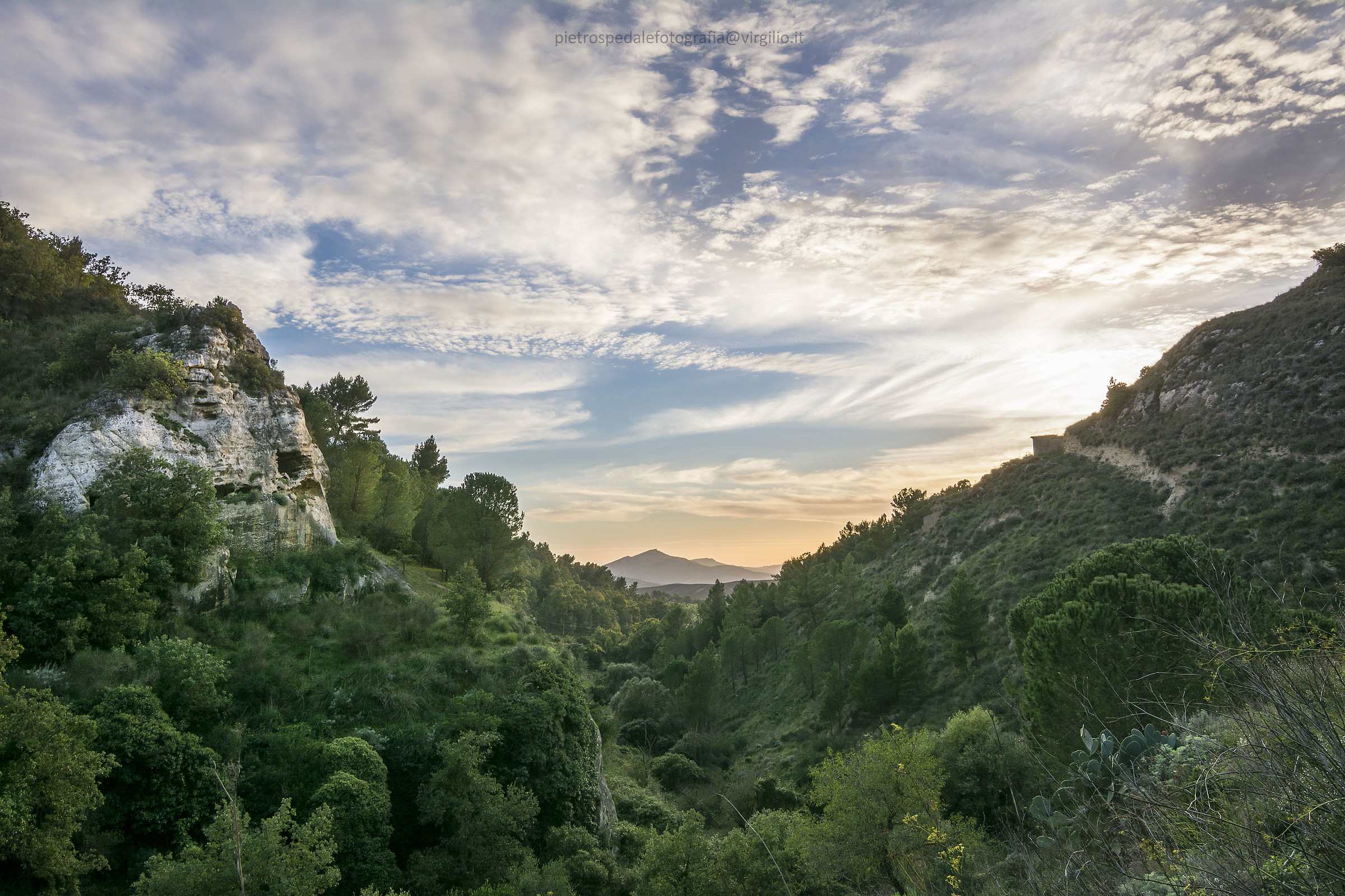 Vallone Calcarella - Calascibetta (en)