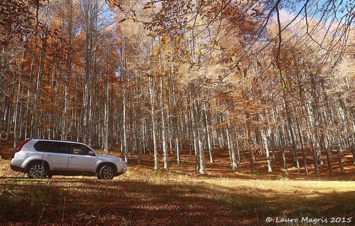 Autunno in X-trail
