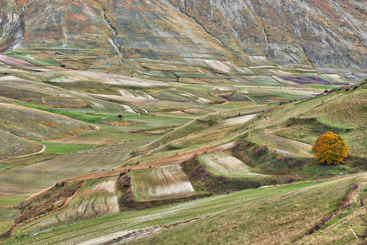 castelluccio
