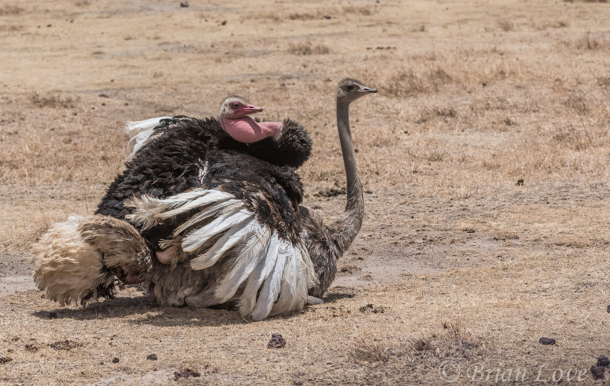 Lavorare per la prossima generazione