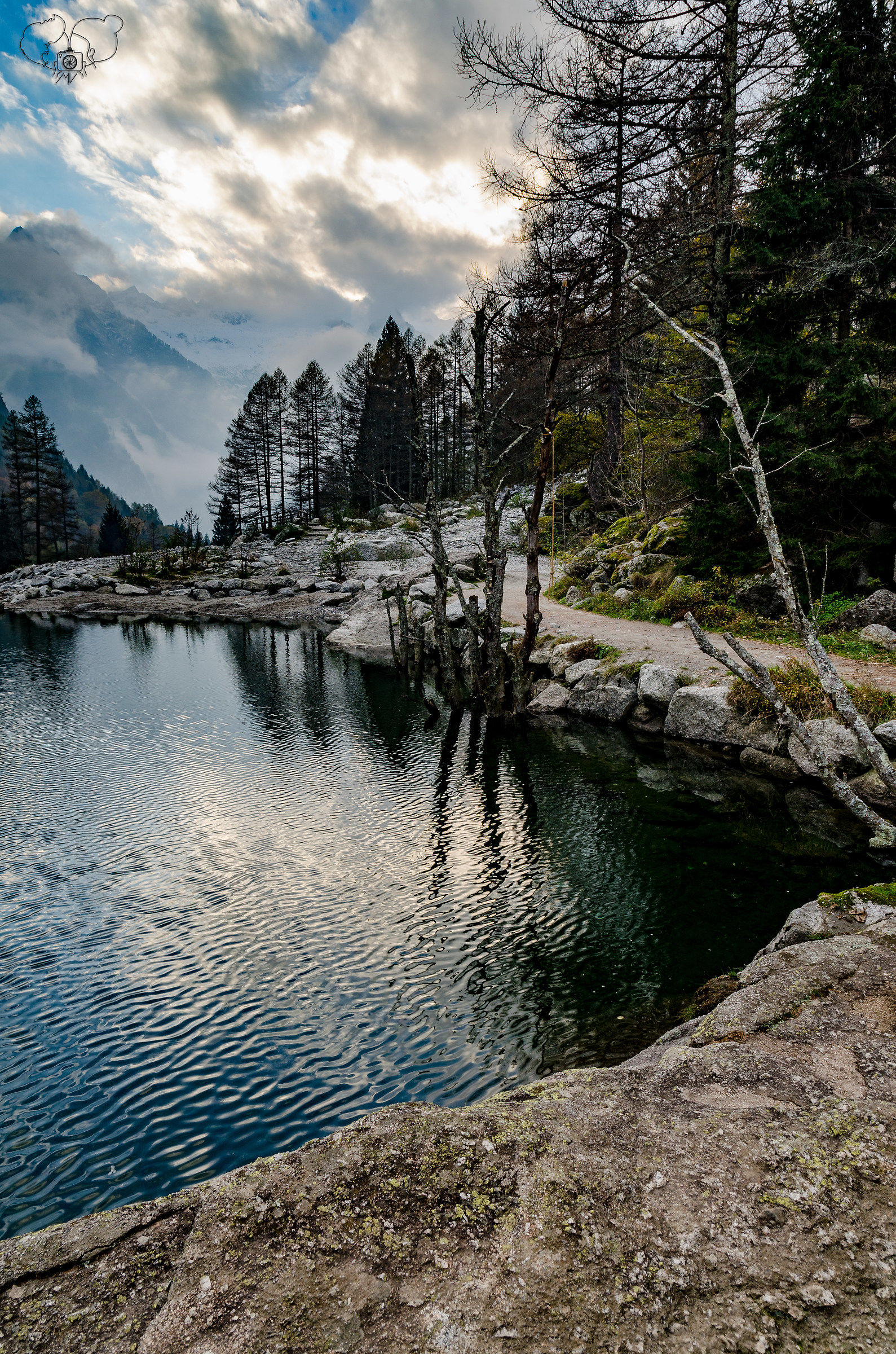 the dark side of the lake