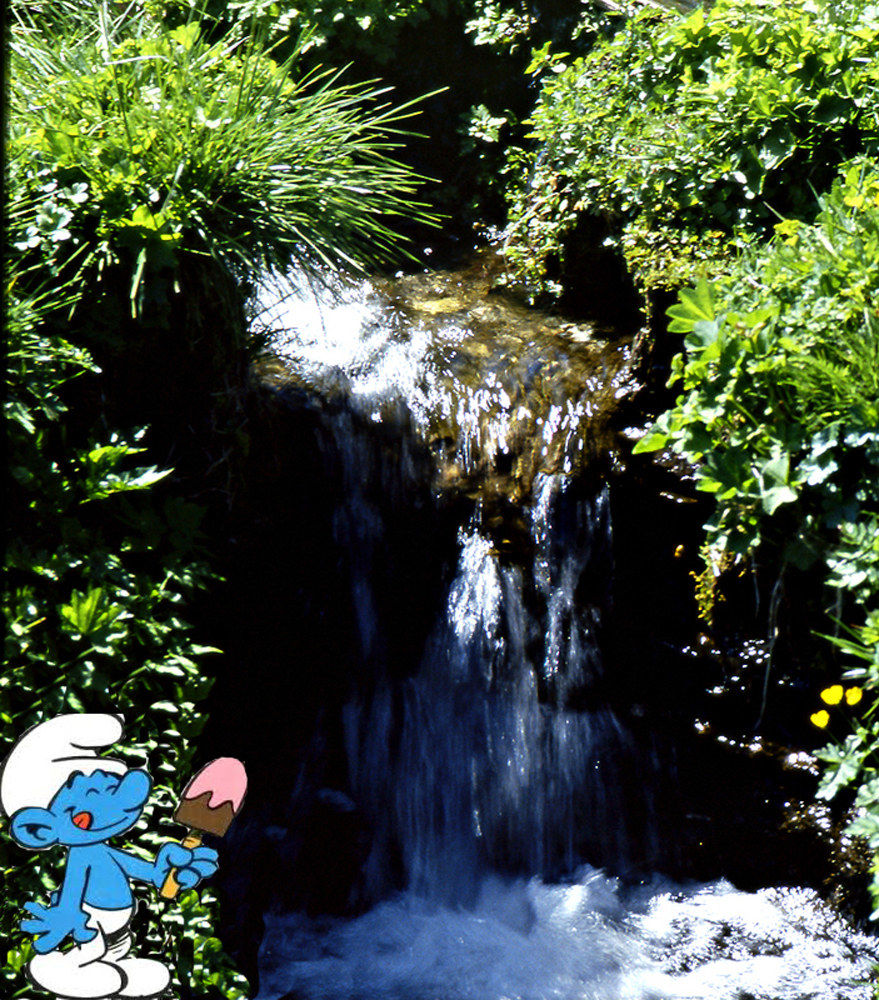 That summer puffosa!