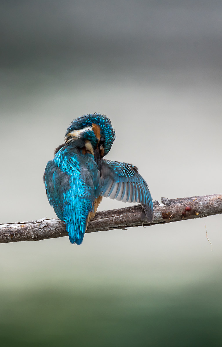Cleaning up after lunch