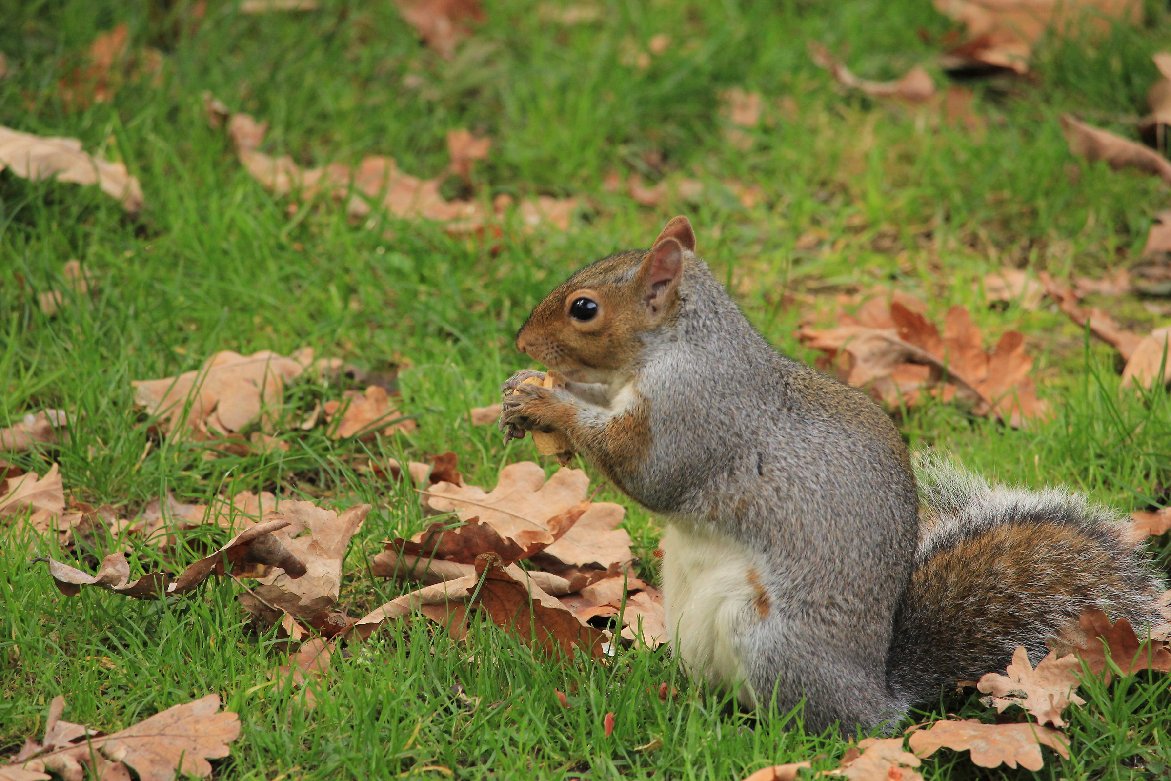 but we should not see each other anymore ..