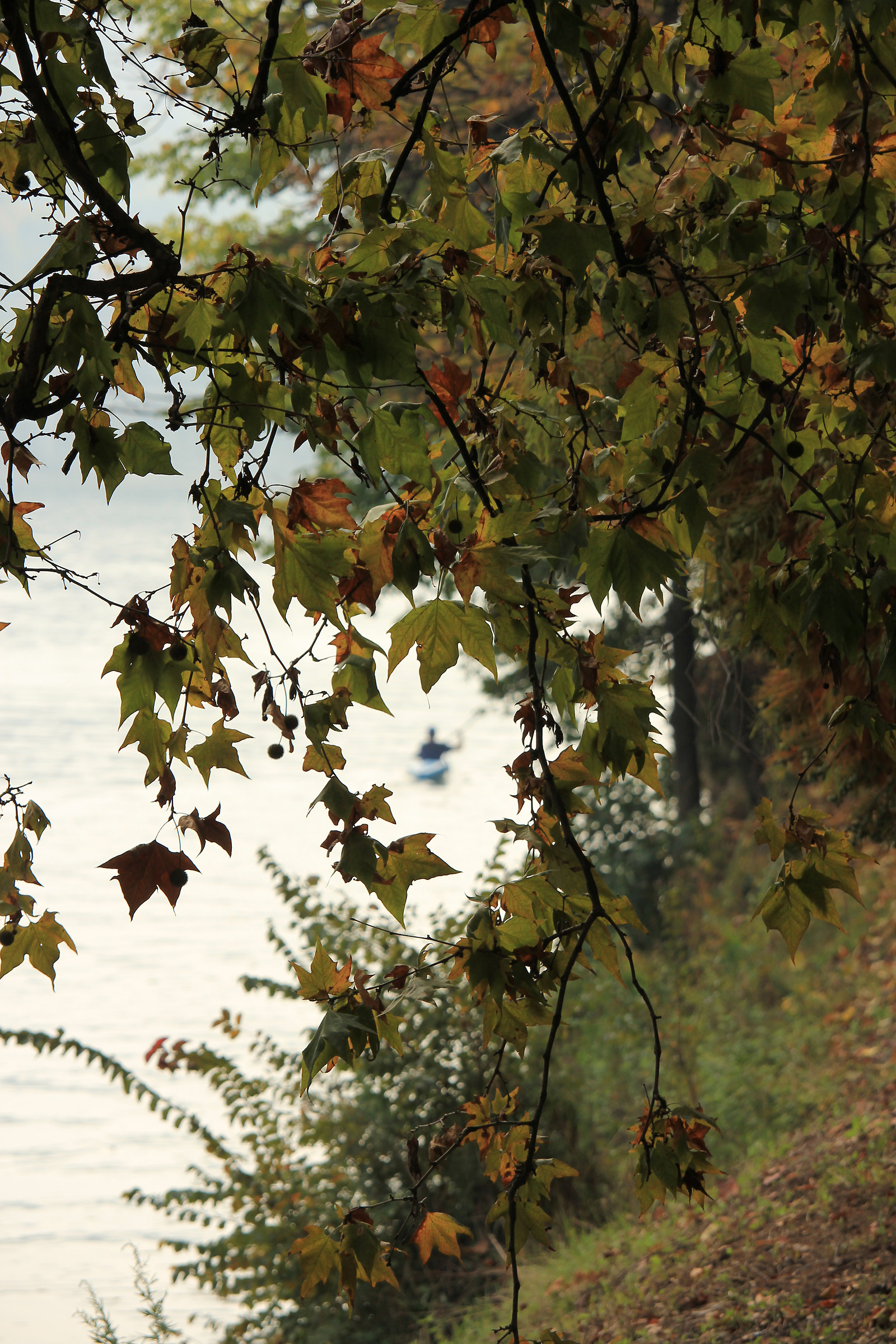 everything passes and then ..svanisce