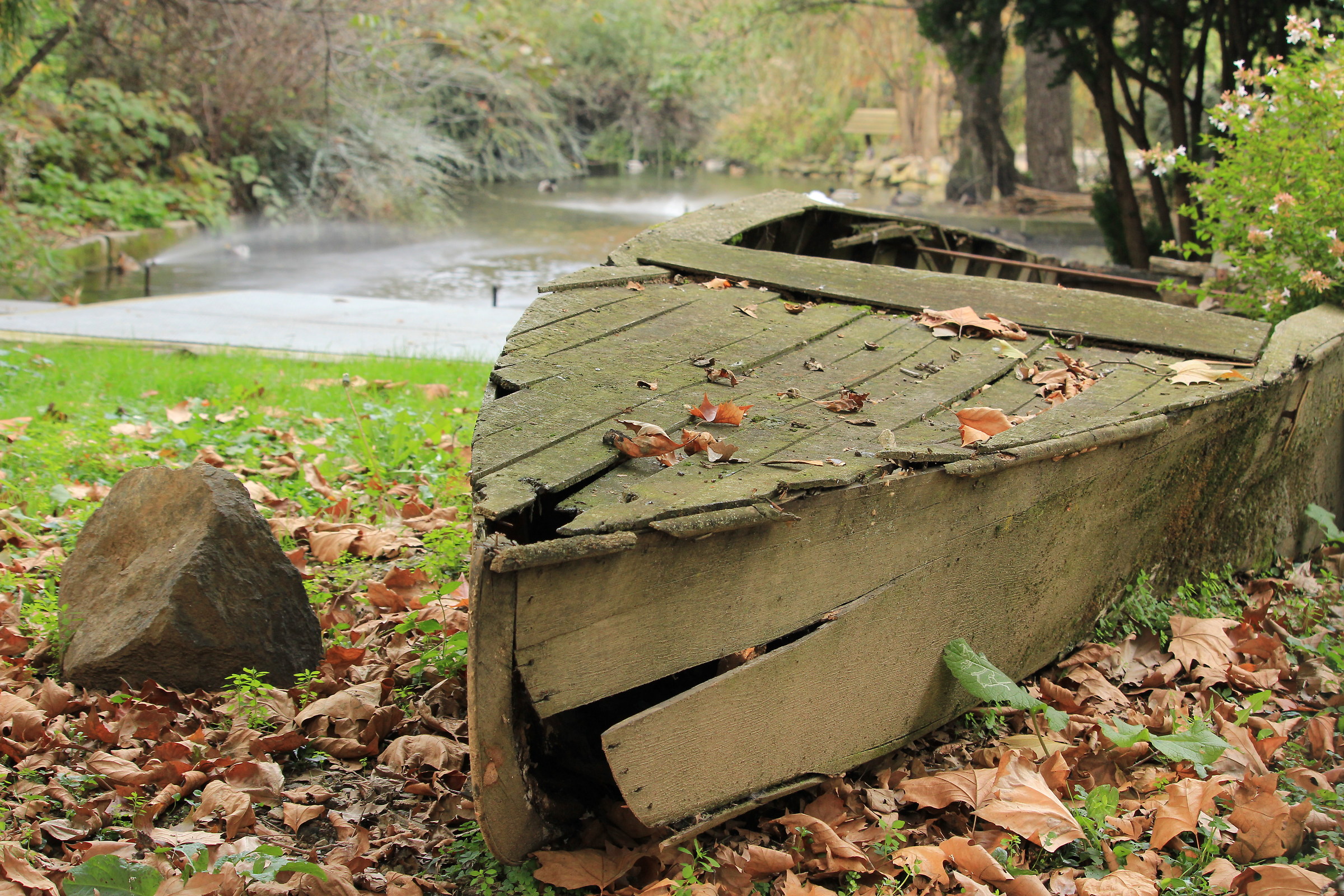 more that the rock could the time ..