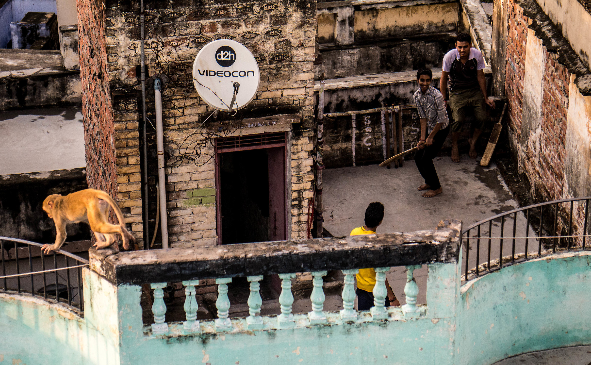 Playing cricket on the rooftop