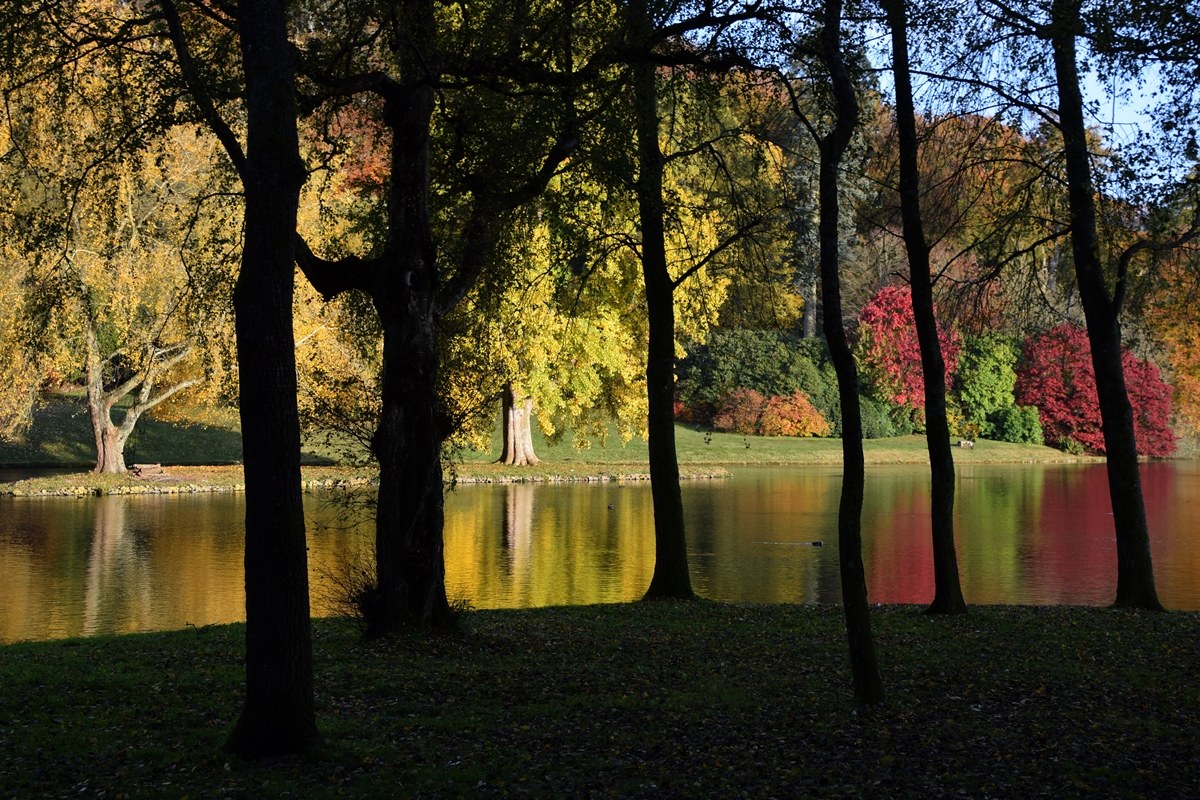 Autunno a colori a Stourhead