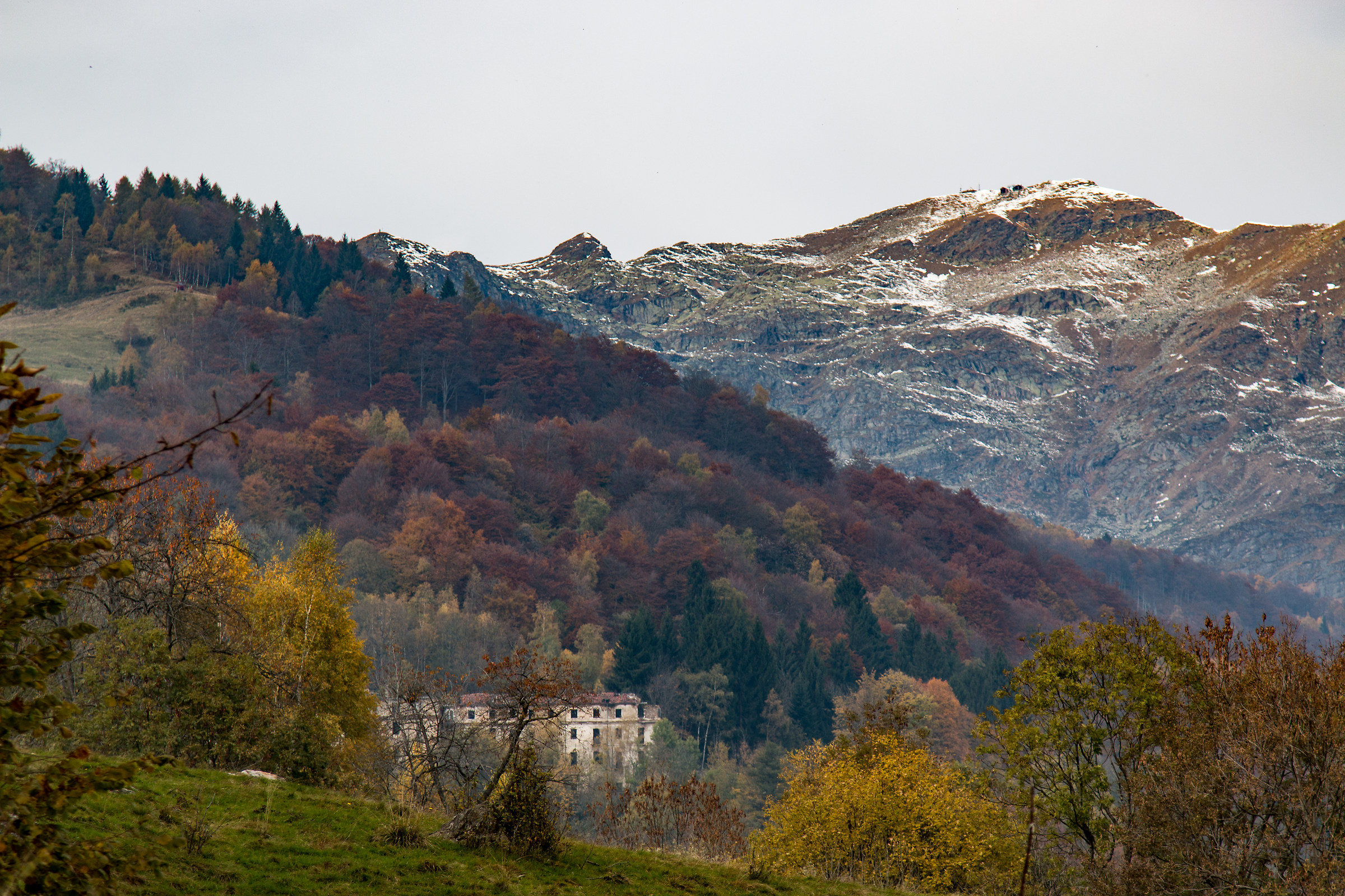 on the path of the train