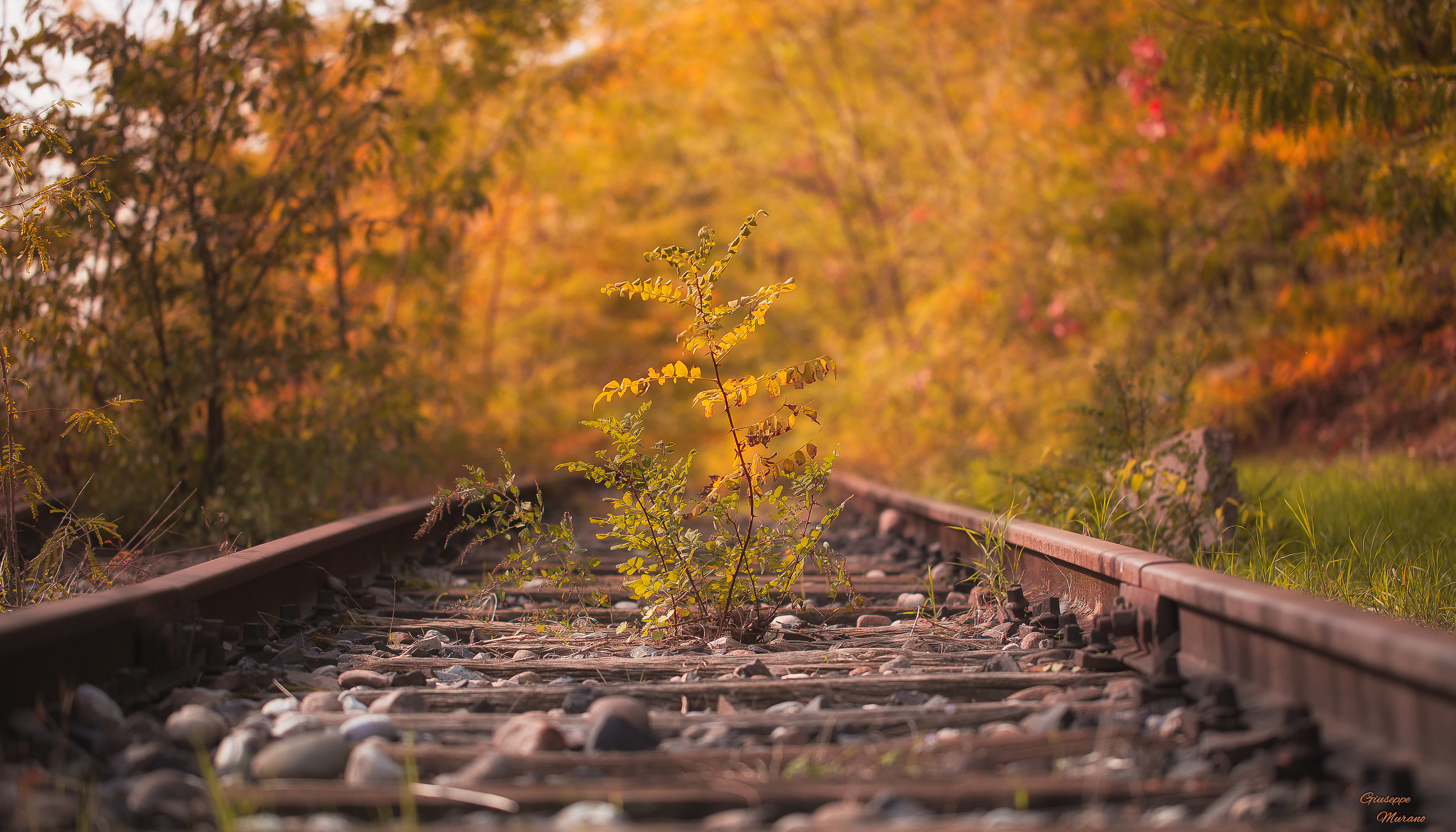 Journey to the autumn ..