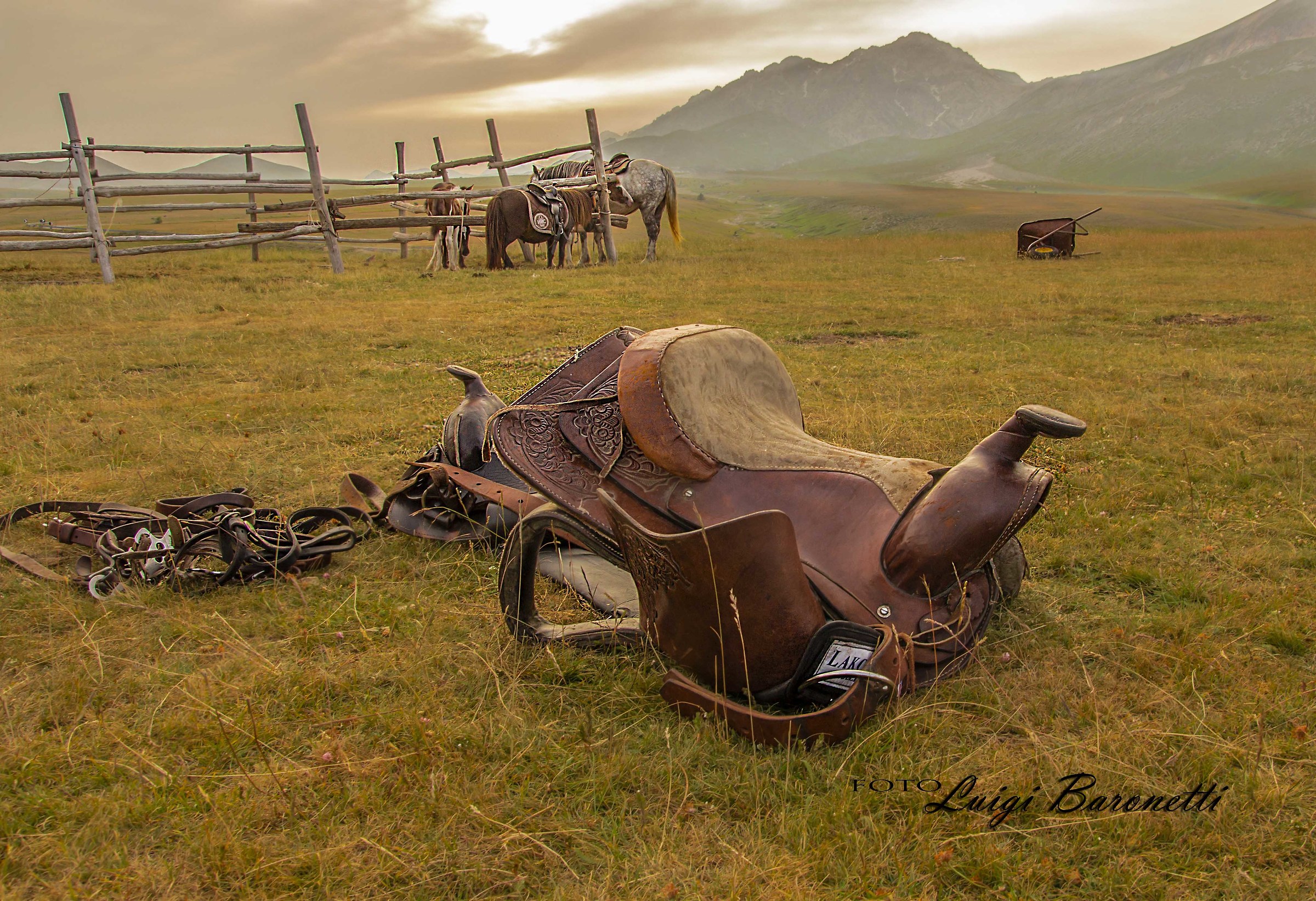 dopo un lungo viaggio...