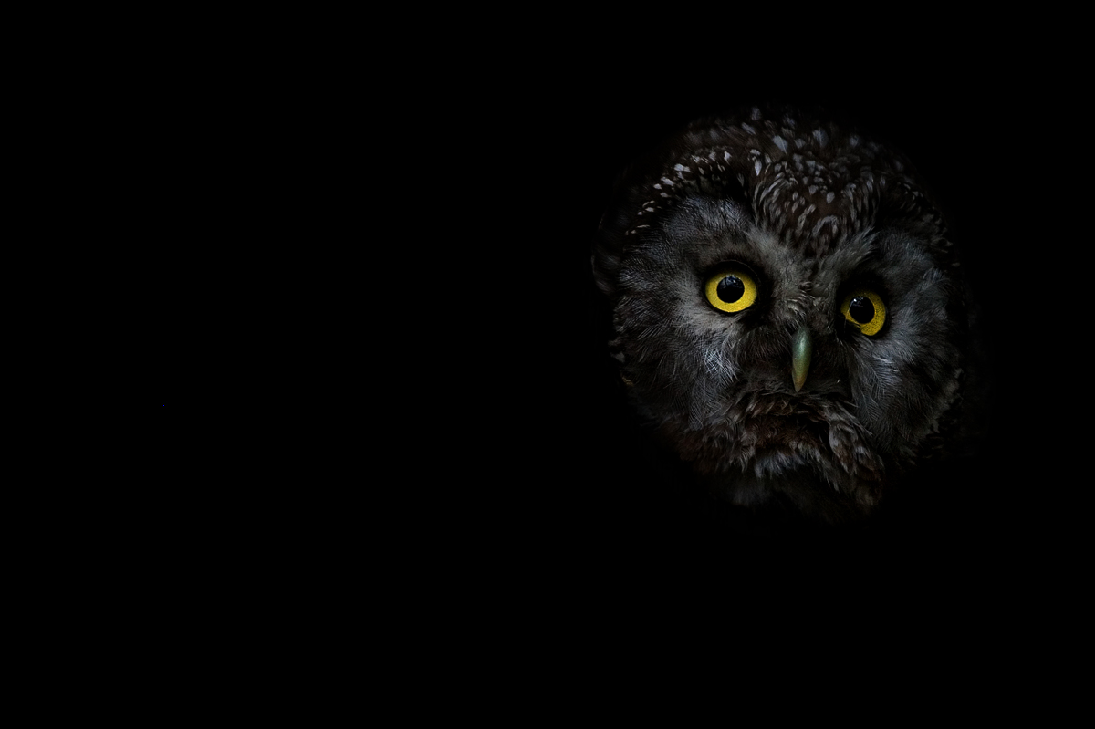 Uno sguardo nel buio