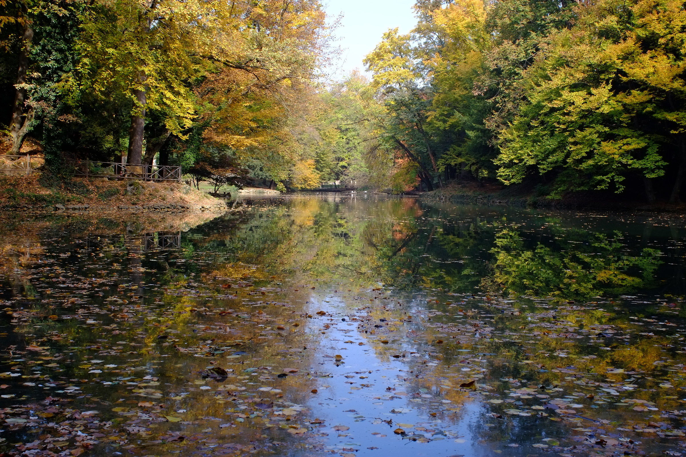 Laghetto giardini Villa reale, autunno