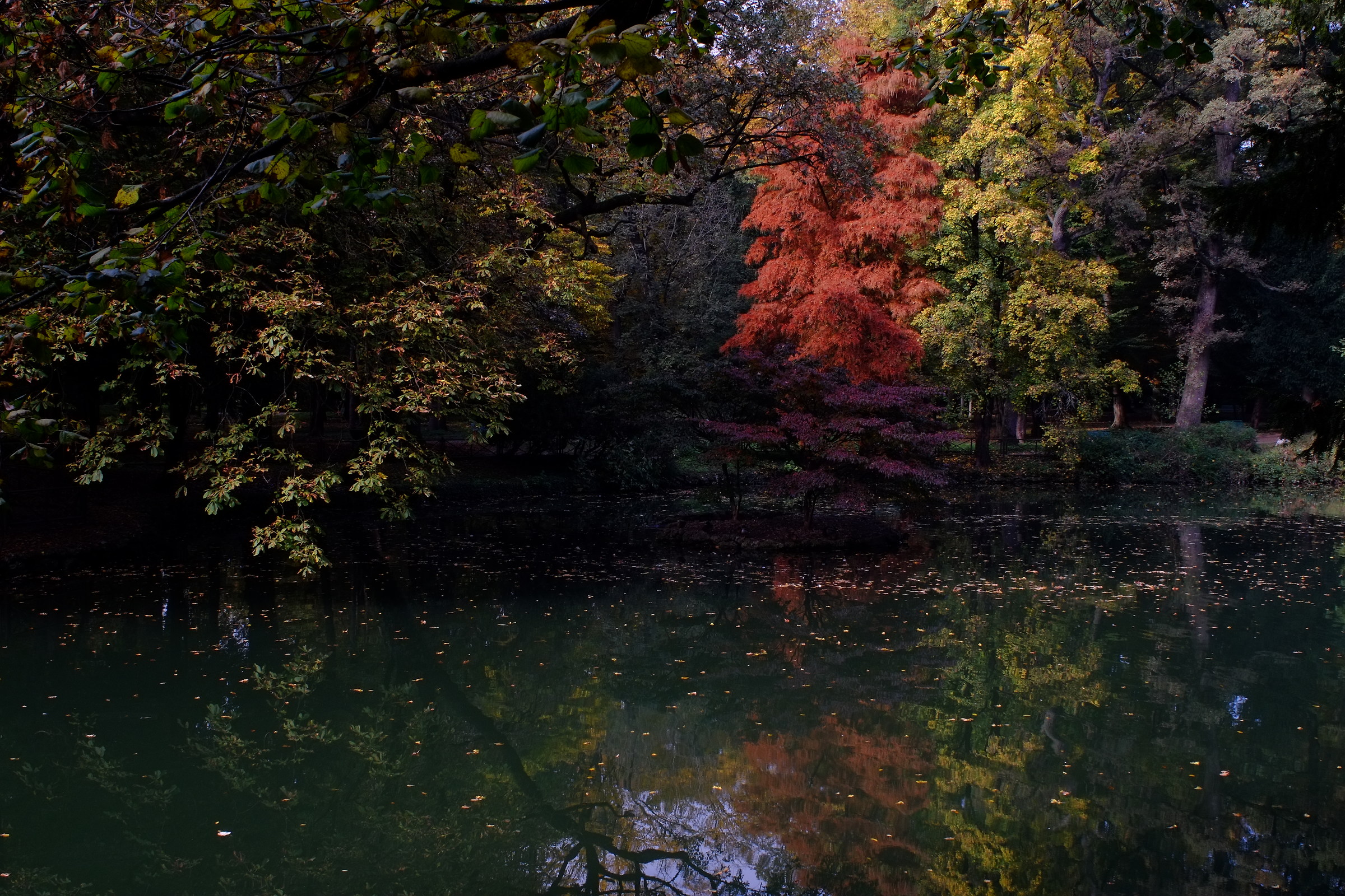 Colori autunnali al Parco