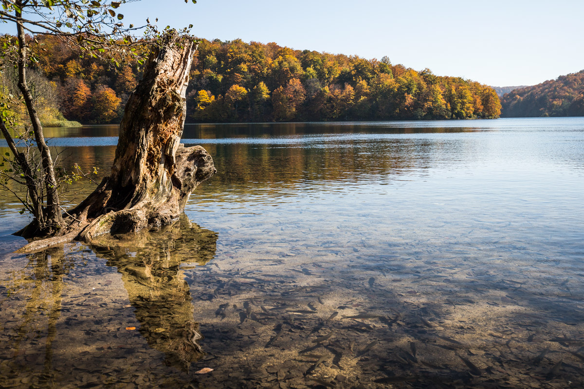 Plitvice autumn