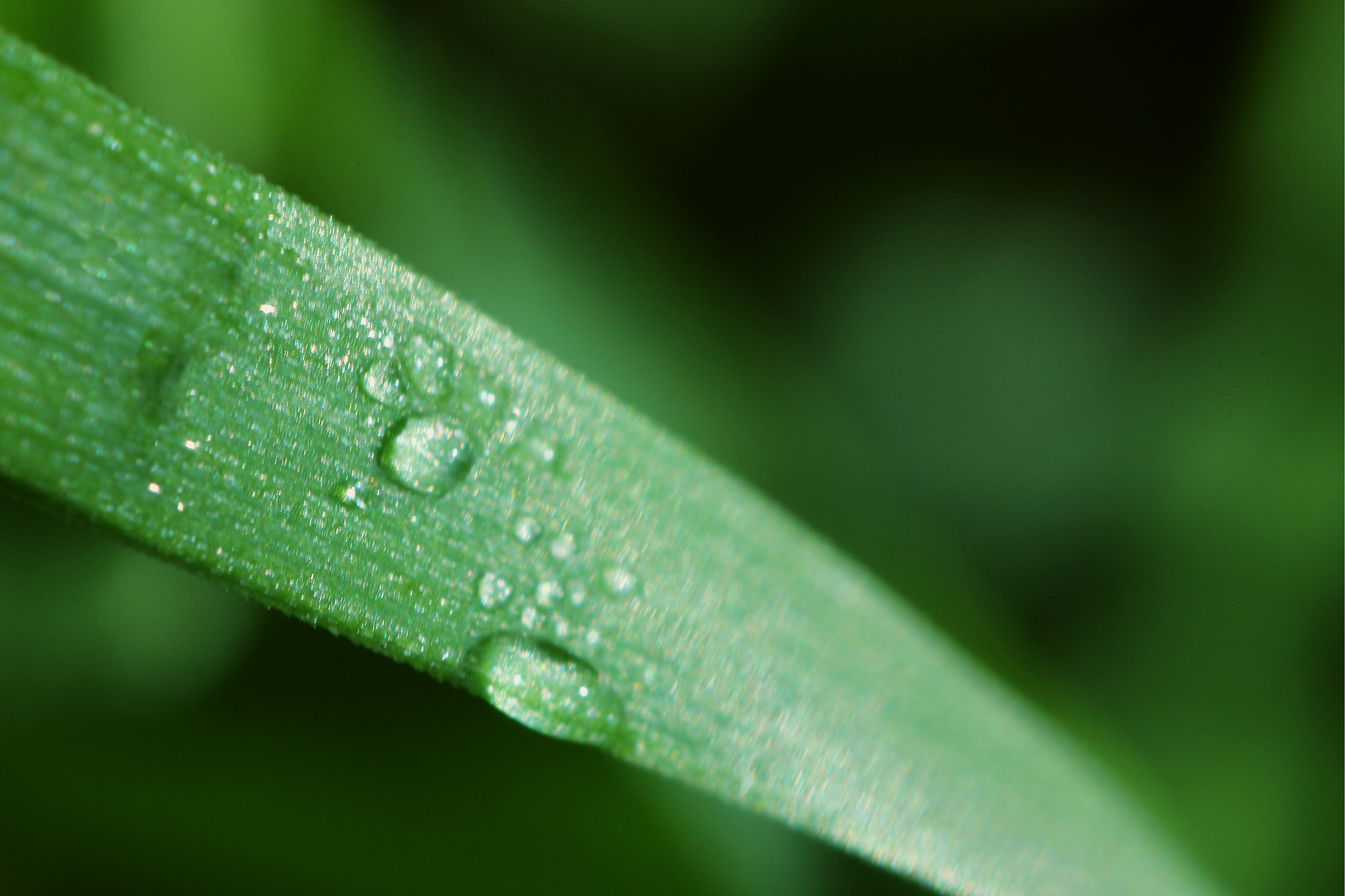 Una mattina d'autunno