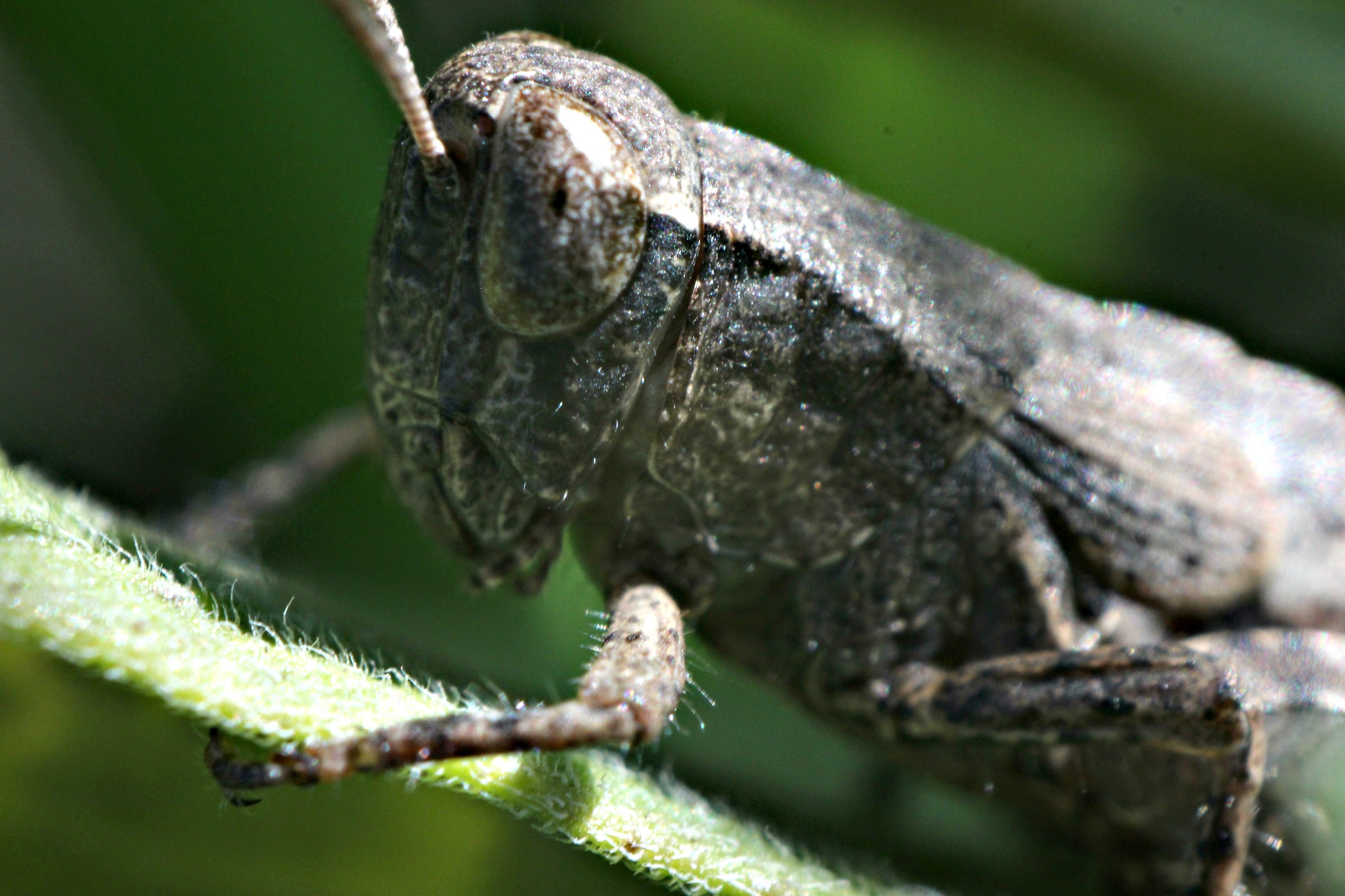 Una mattina d'autunno