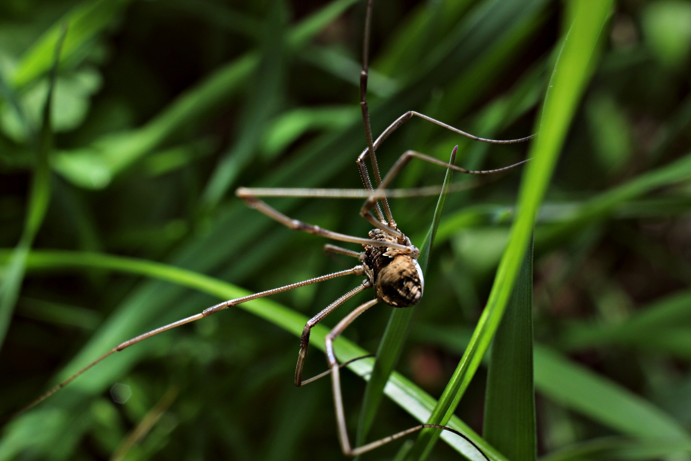Una mattina d'autunno