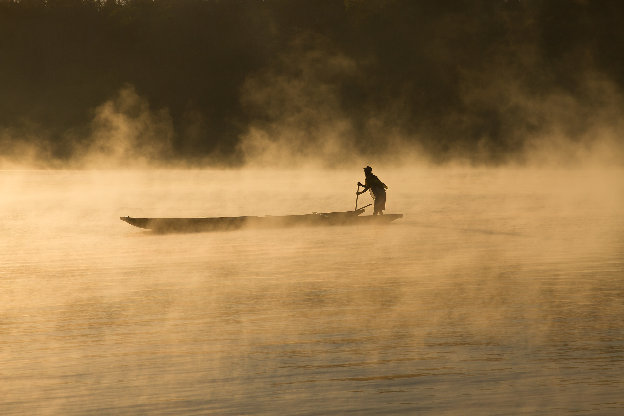 Rowing in the fog