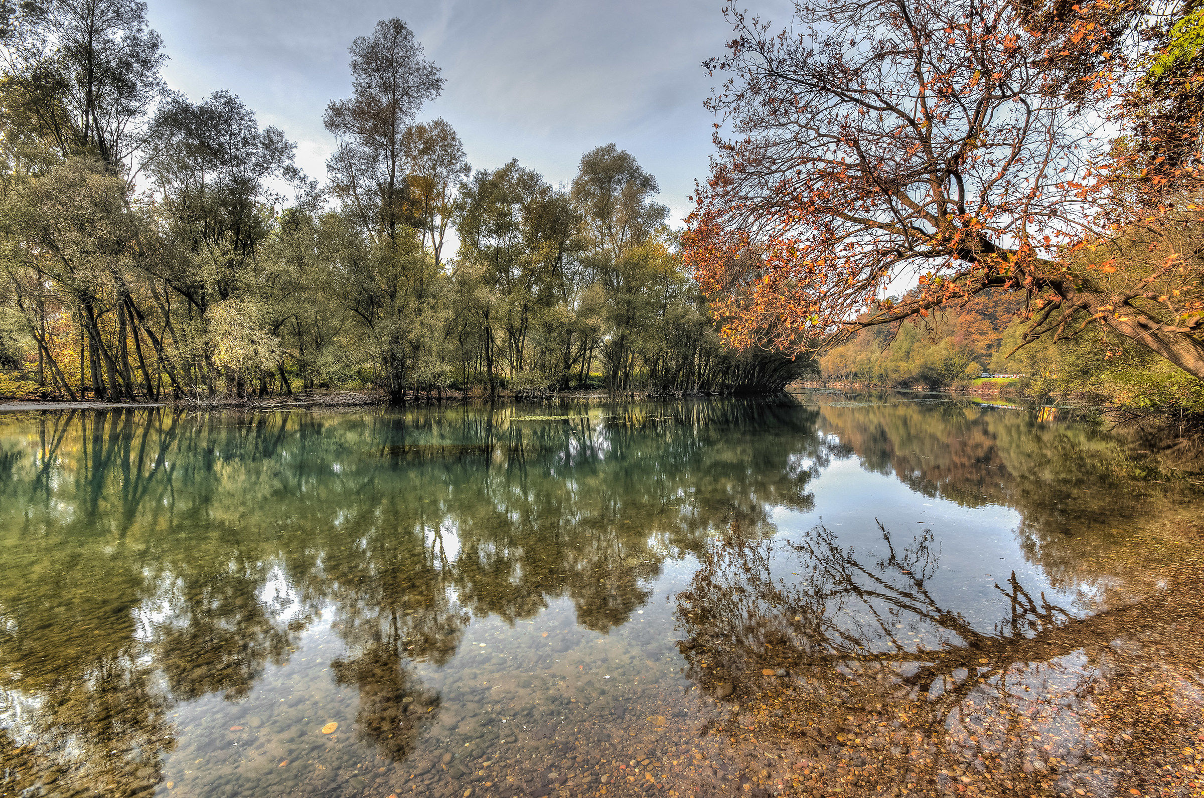 Ticino Park, reflections ...