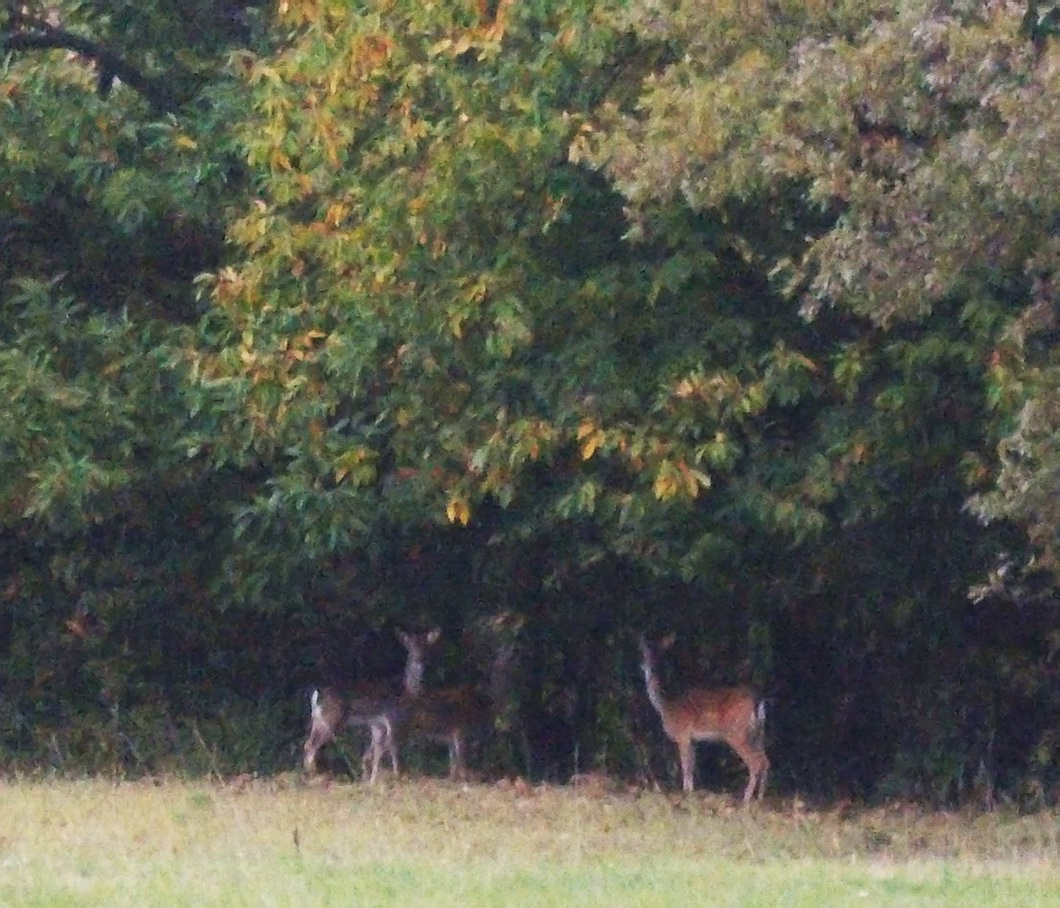 Pleasant meetings ...