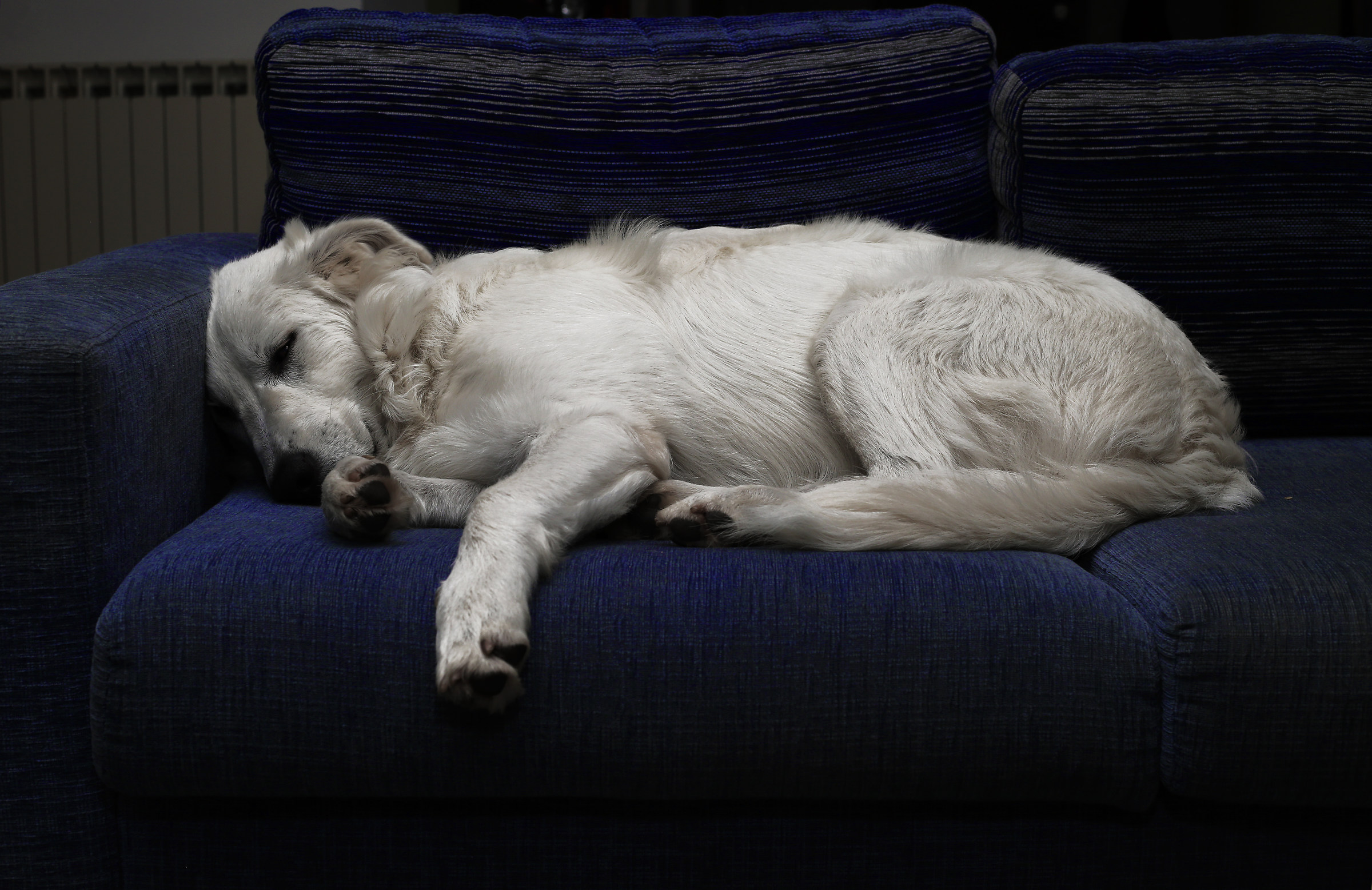 Ariel, petrified by sleep.