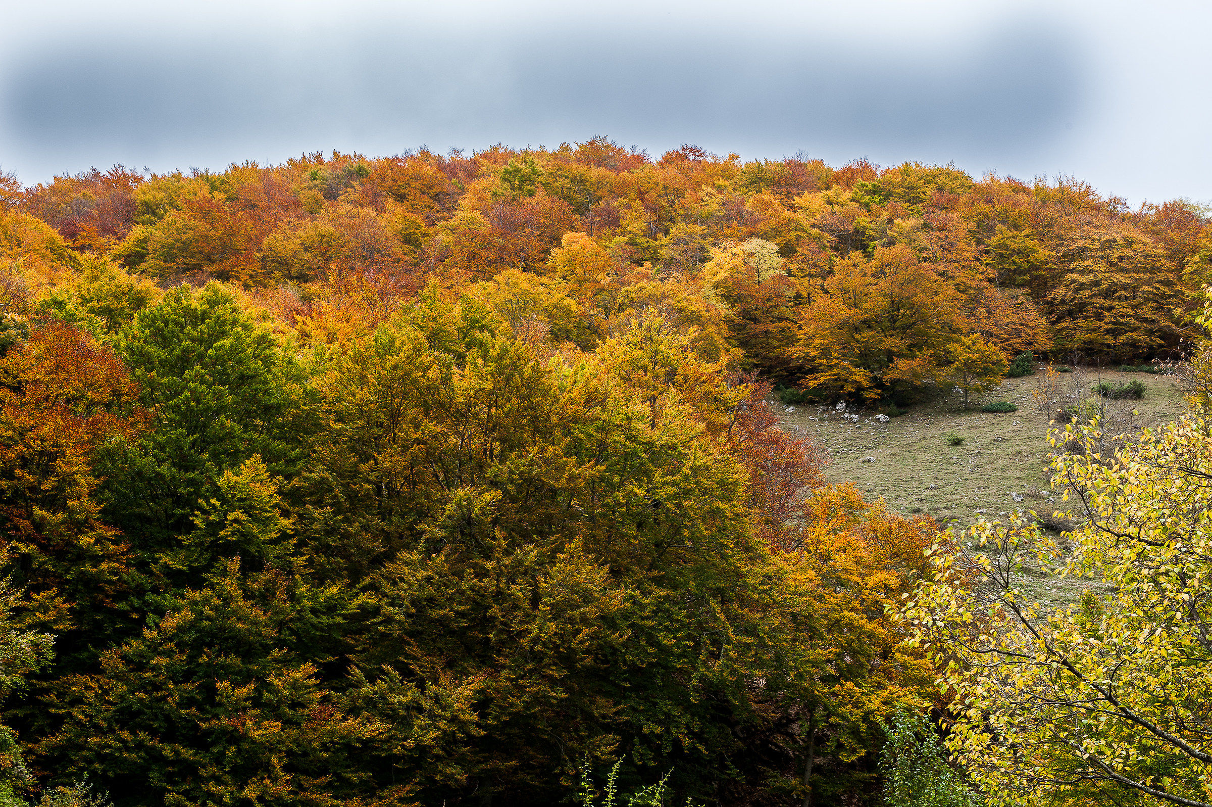Parco Nazionale d'Abruzzo-Autunno 2015