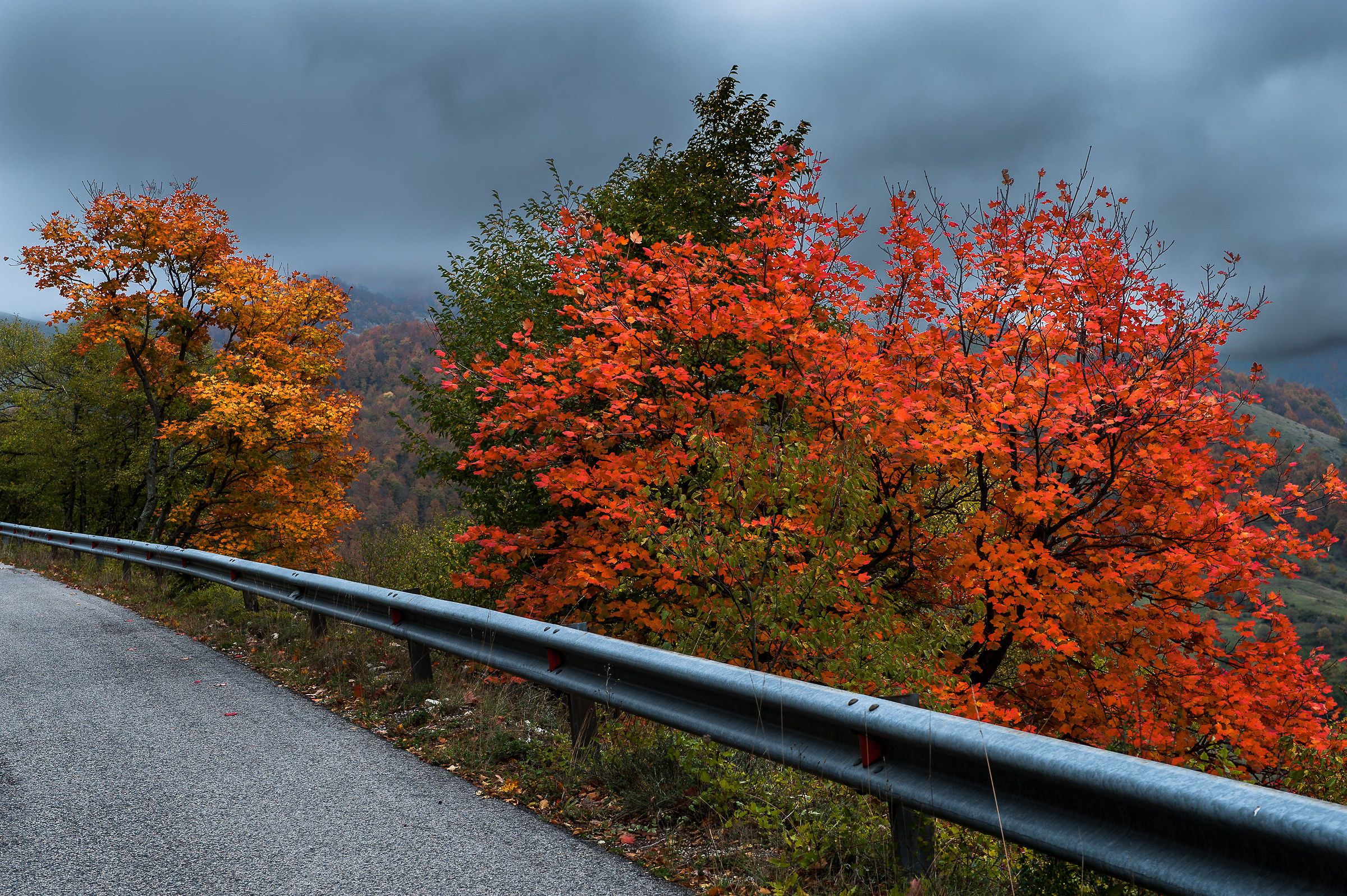 Parco Nazionale d'Abruzzo-Autunno 2015