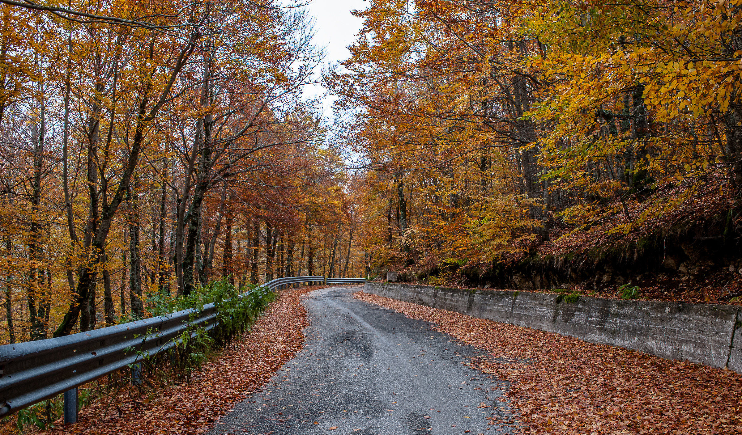 Parco Nazionale d'Abruzzo-Autunno  2015