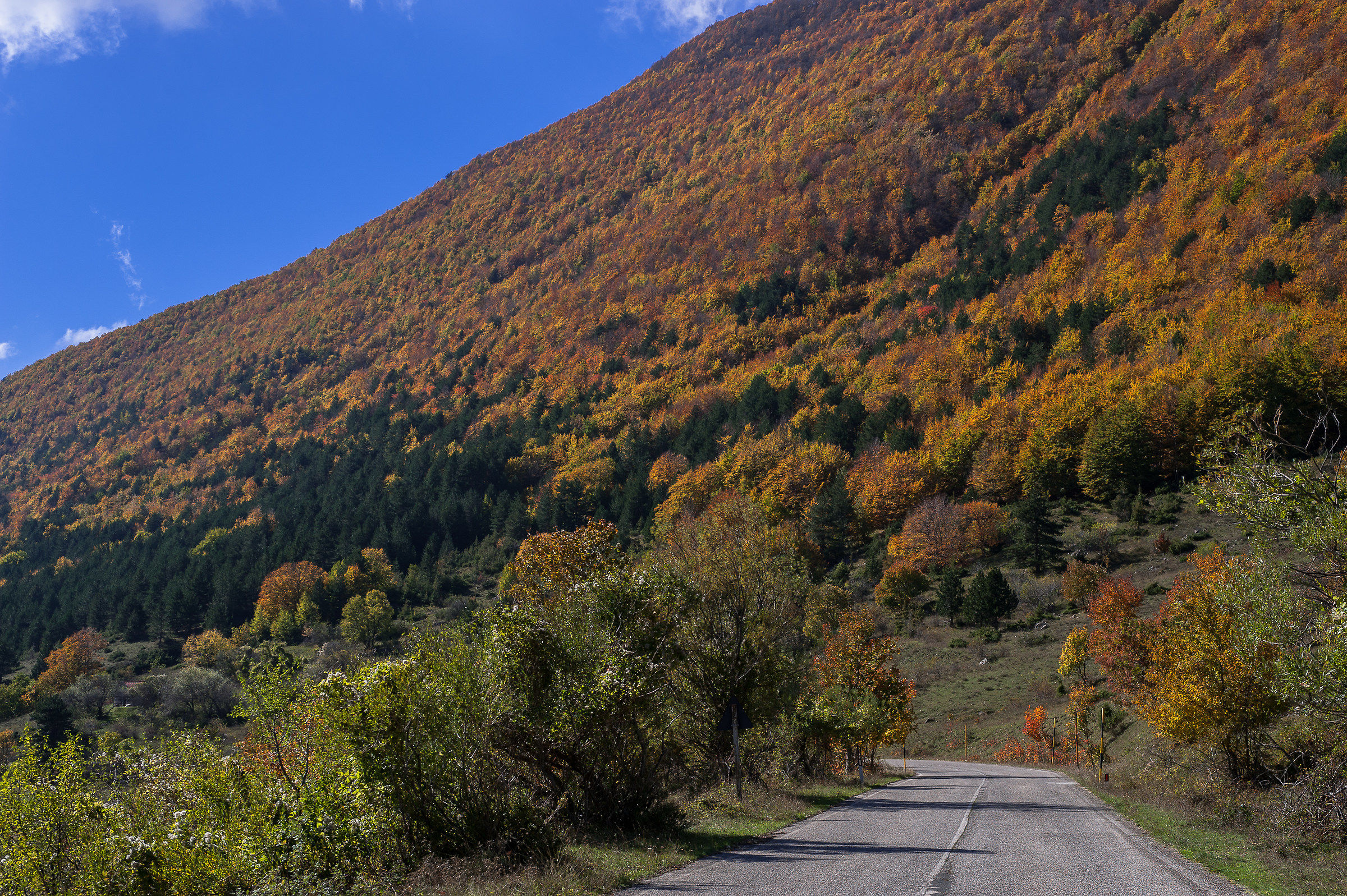 Parco Nazionale d'Abruzzo-Autunno 2015