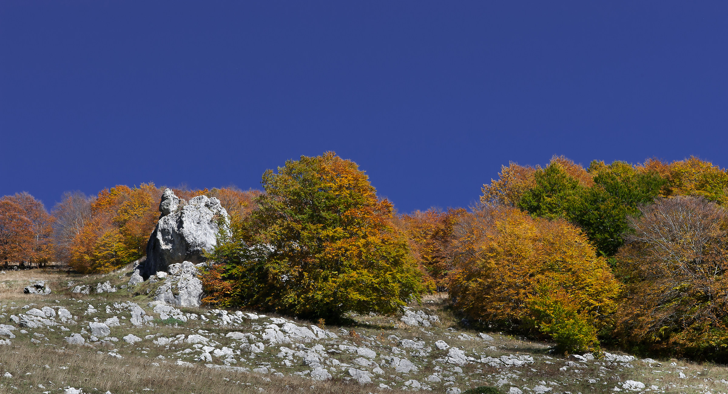 Parco Nazionale d'Abruzzo-Autunno 2015