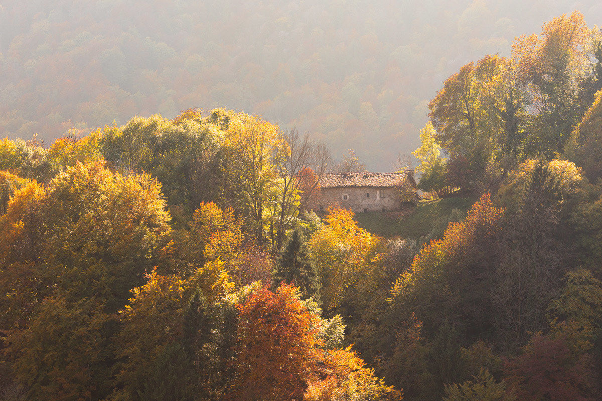 Glimpses of the autumn in Val Rice ...