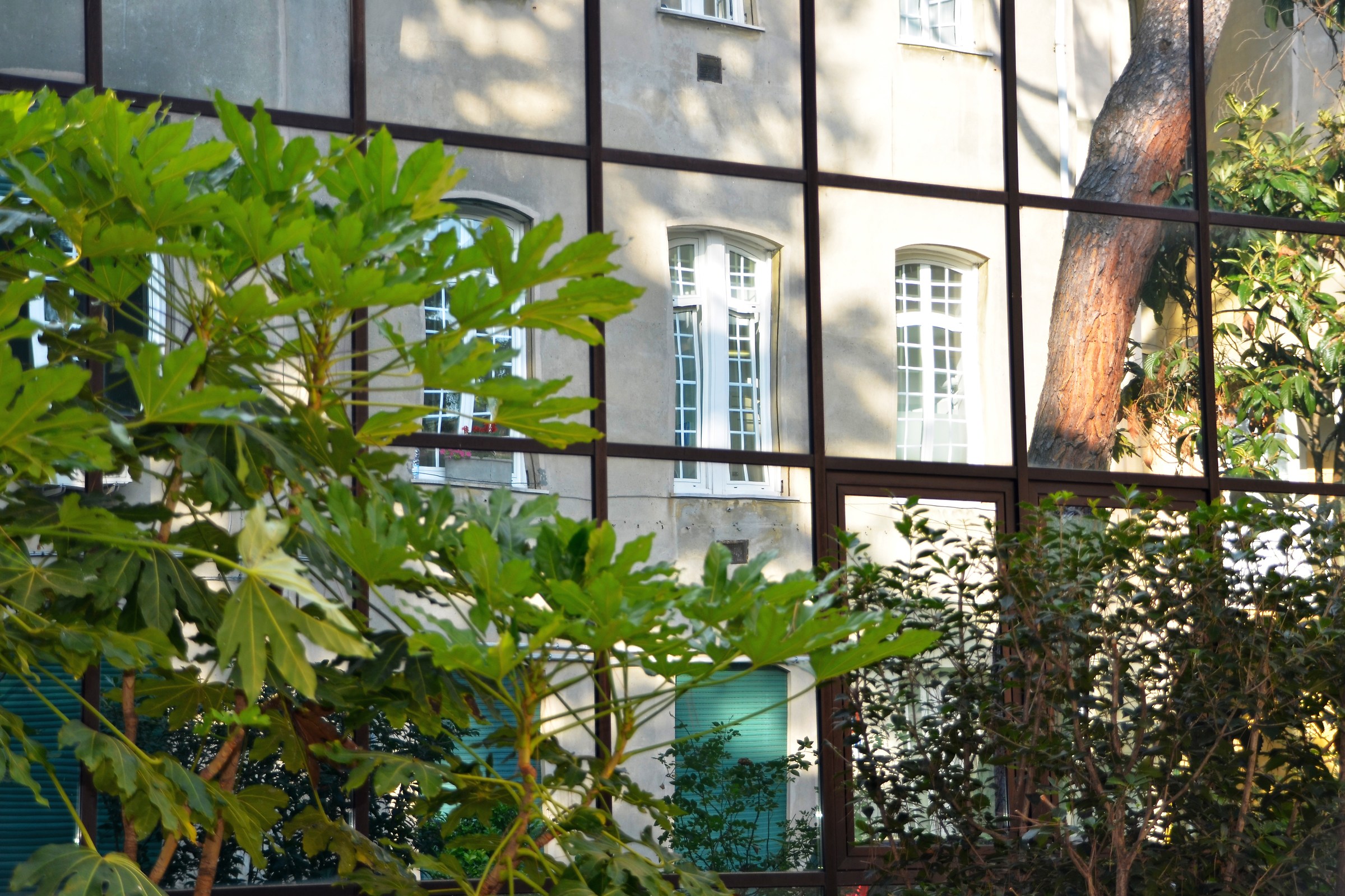 The past is reflected in future