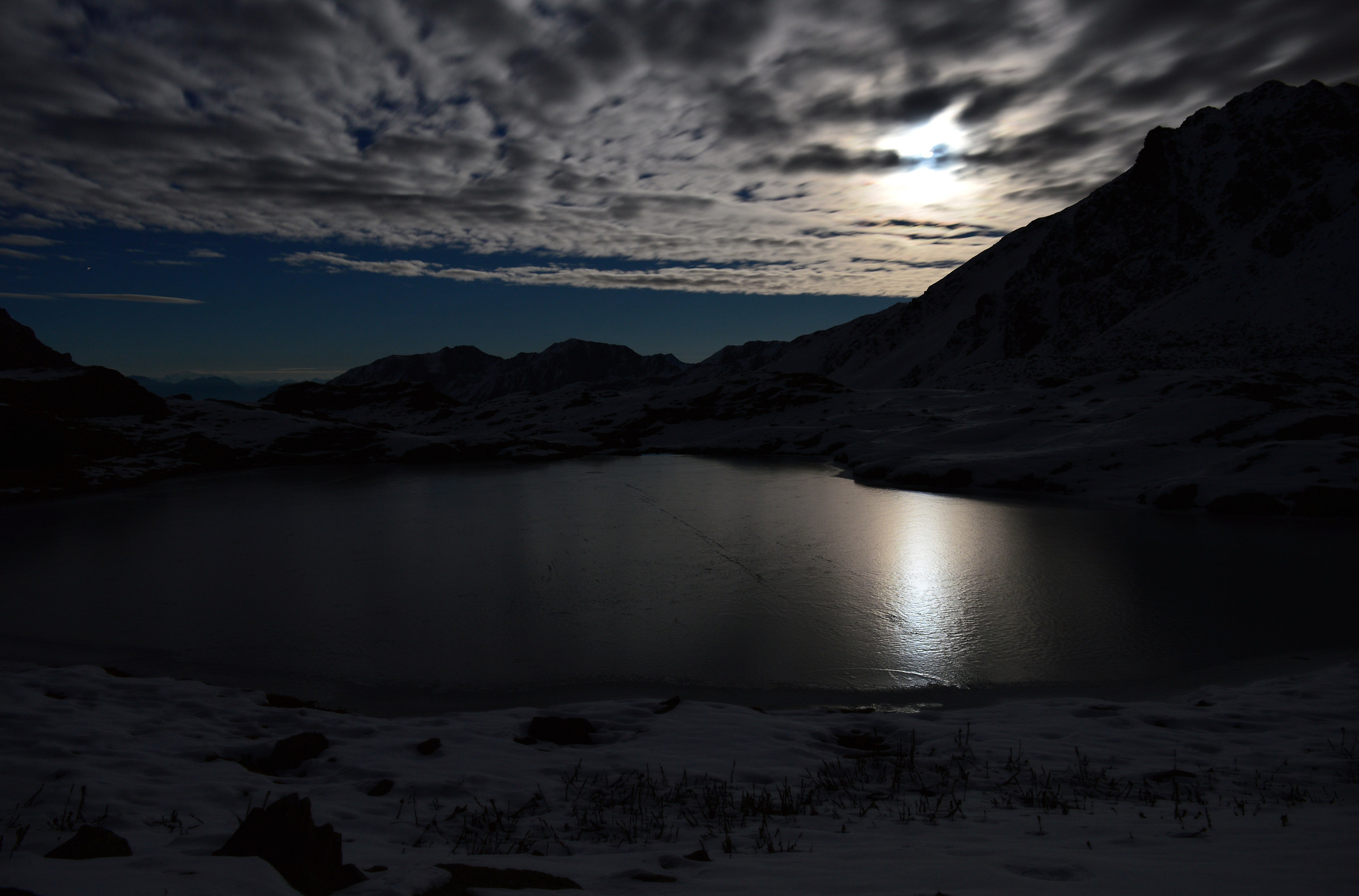 Gelido riflesso e volpe fantasma.