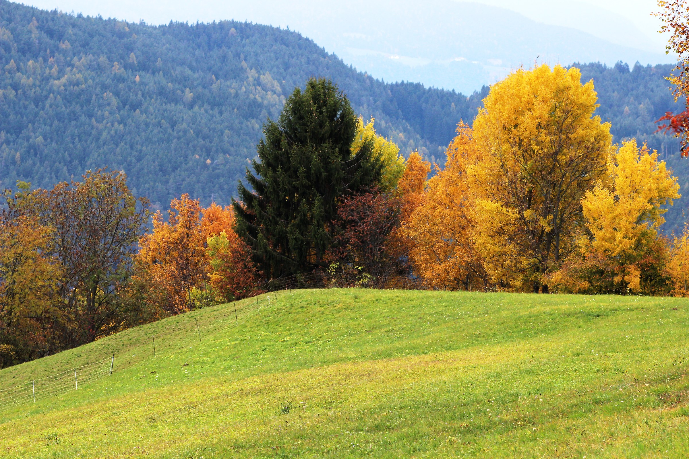 Dolomites - Castelrotto