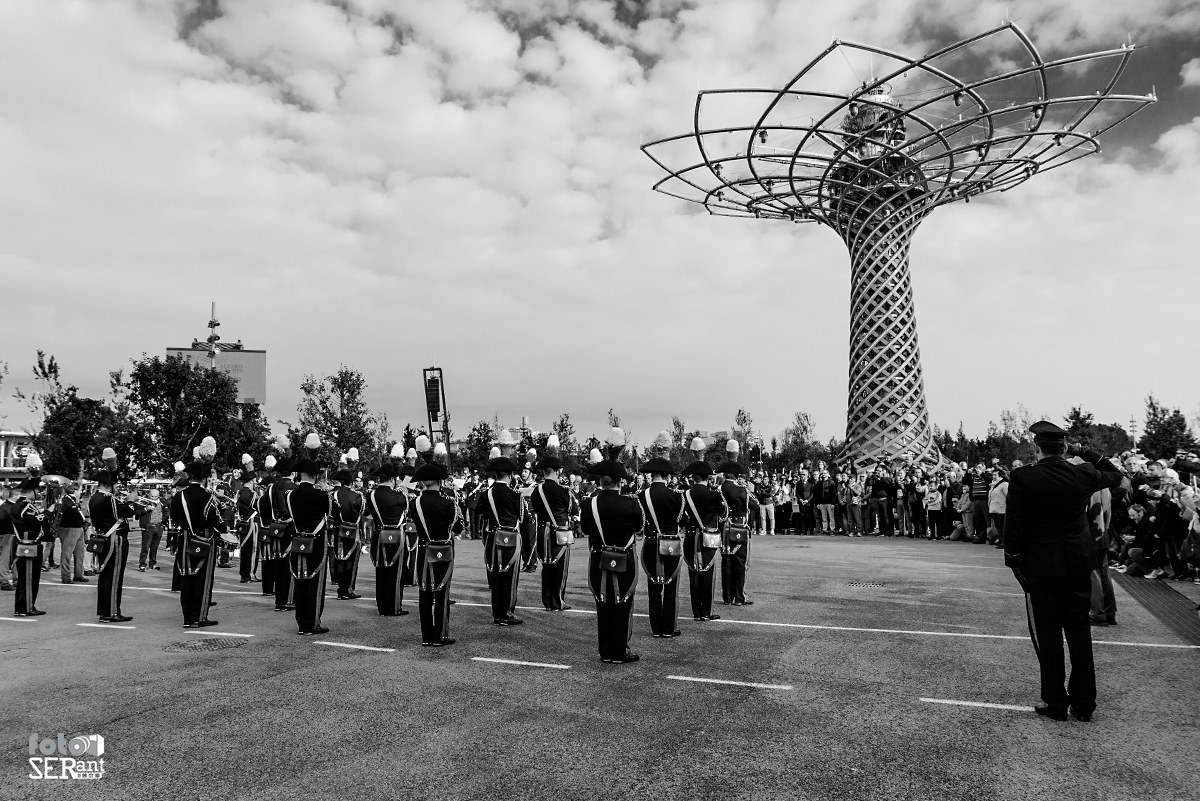 Tree of life Expo 2015