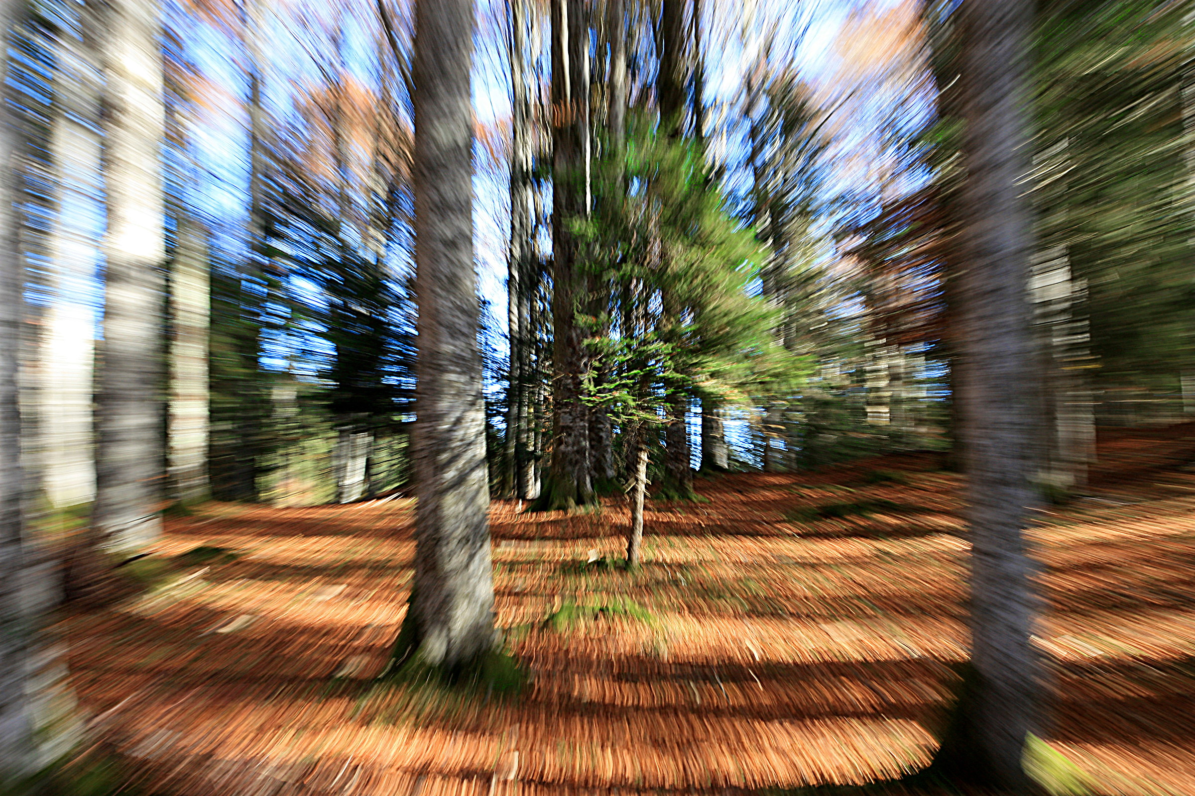 porta spazio temporale