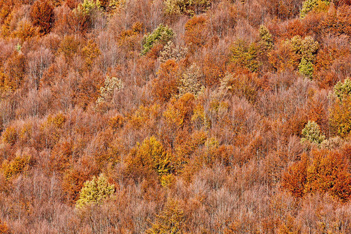 Autumn, Cerreto Pass (King) 25 October 2015