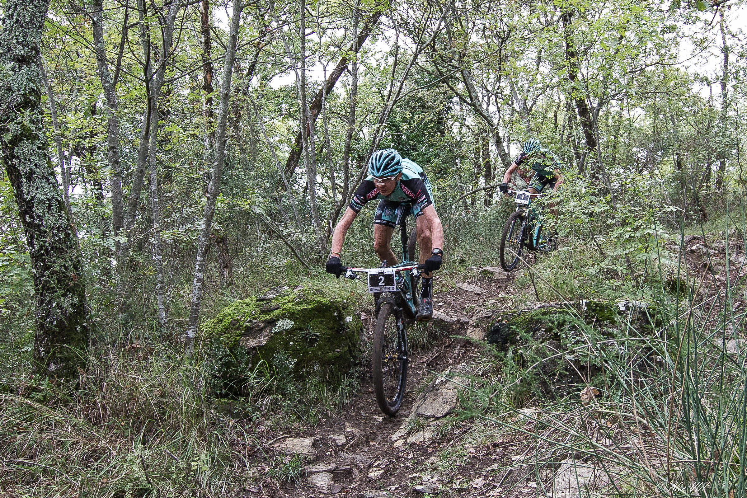 The winners in the technical passage