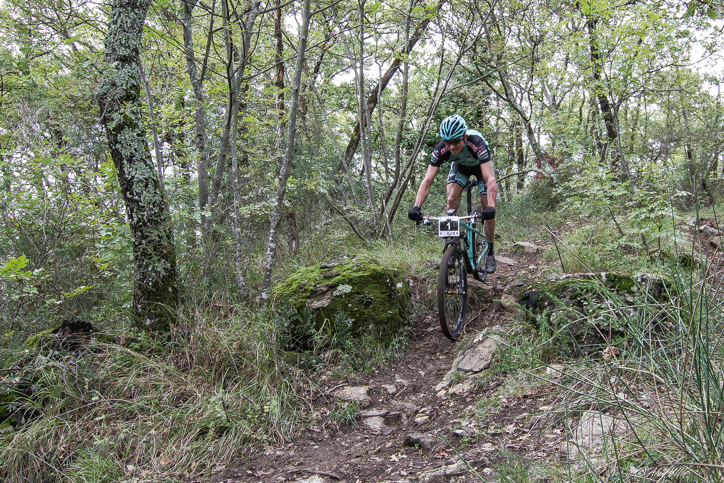 Hector Leonardo Paez Leon ...