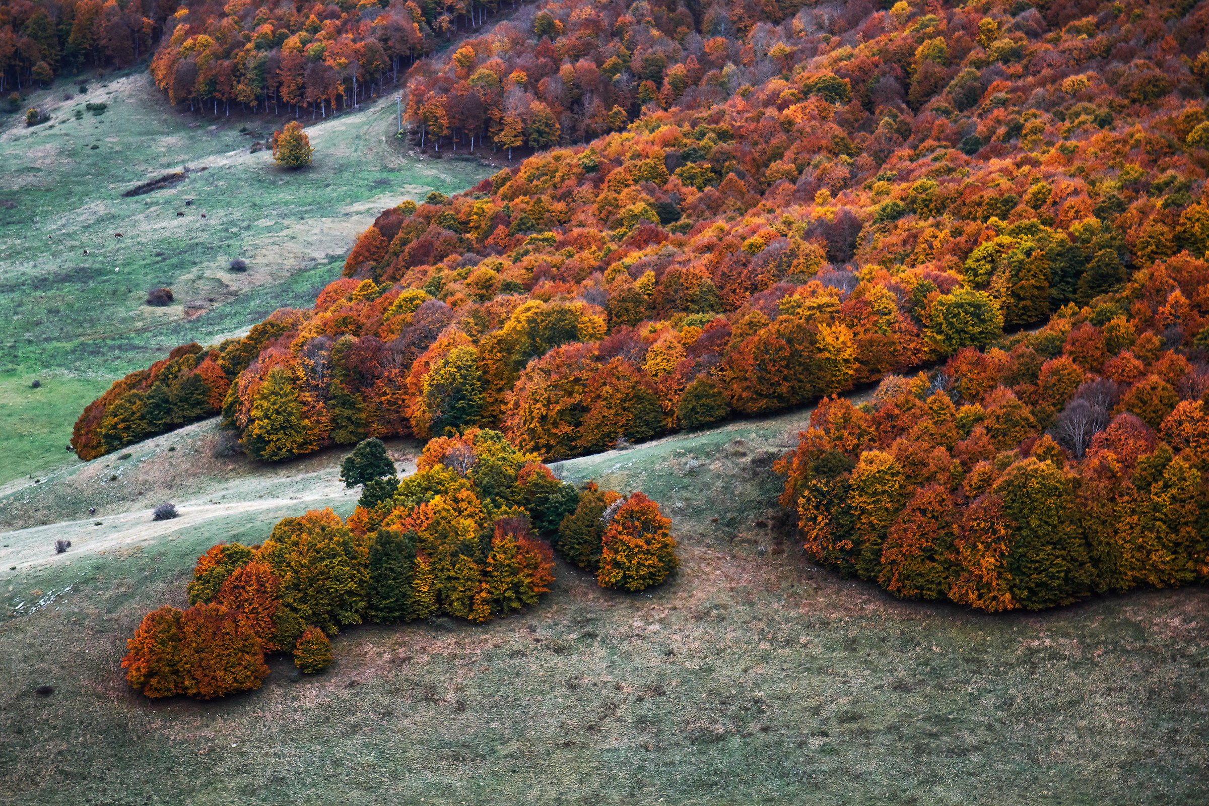 Lingue di fuoco (modificata)